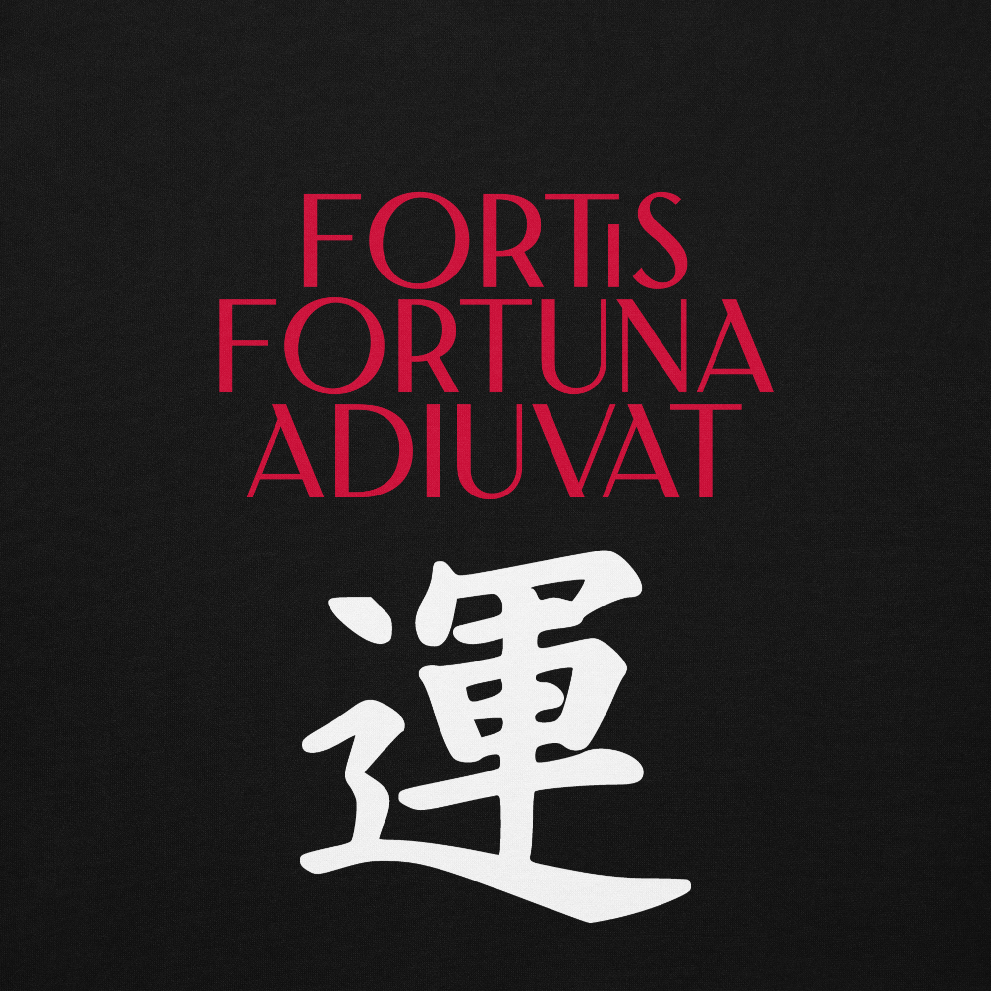 Fotis Fortuna Adiuvat hoodie-black-front-682e92ec07d22
