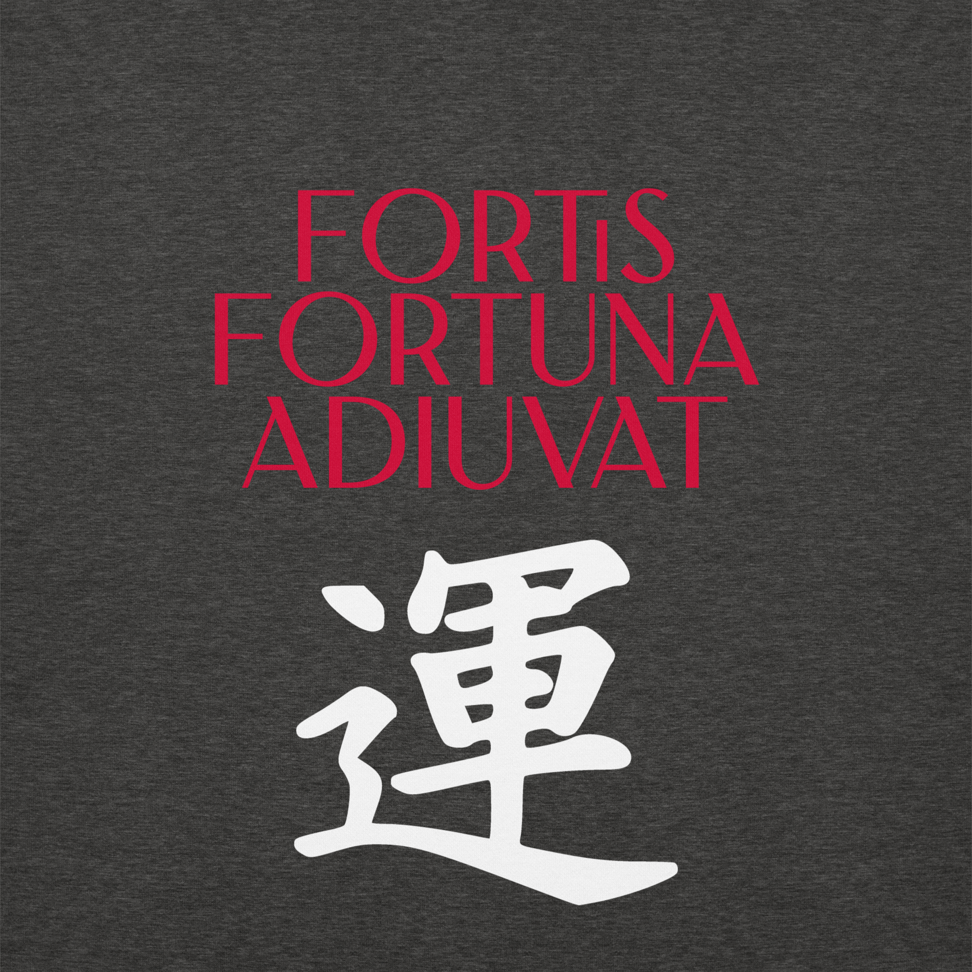 Fotis Fortuna Adiuvat hoodie-charcoal-heather-front-682e92ec1b3cb