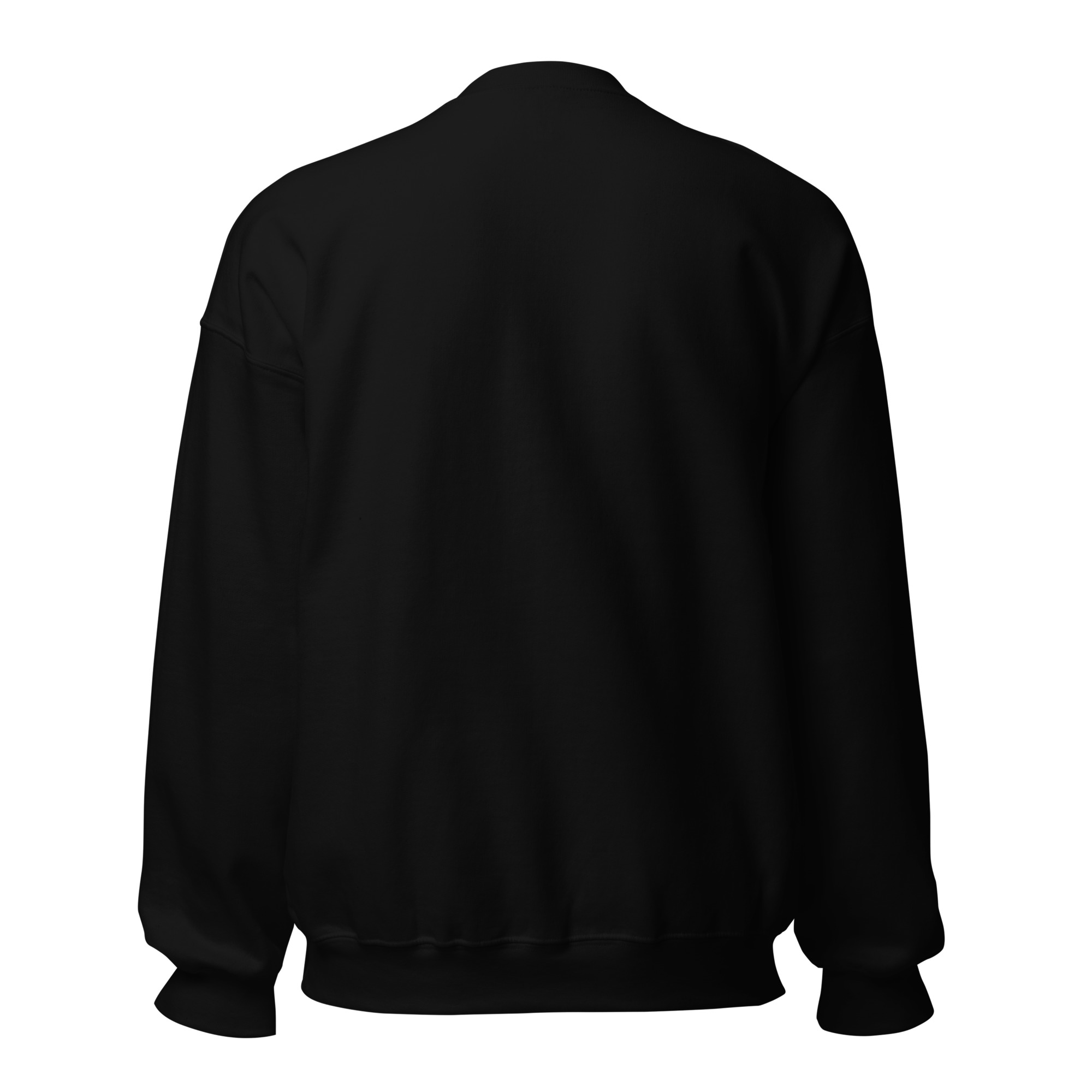 Welfare of Humanity unisex-crew-neck-sweatshirt-black-back-6977c52a4359f