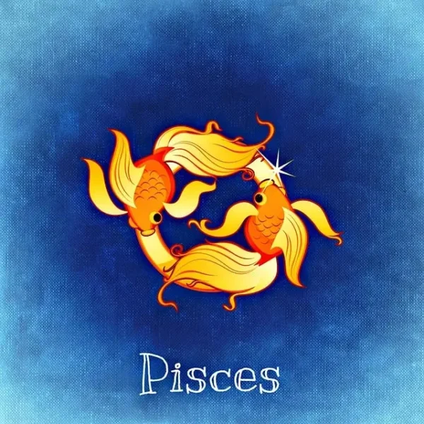 pisces the fishes-759384_640