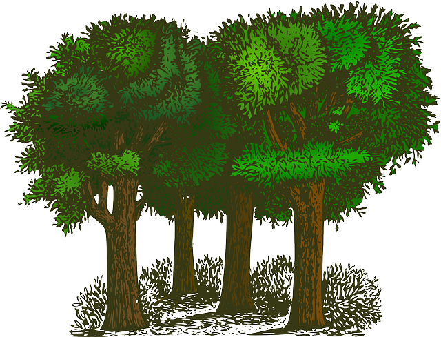 Image by OpenClipart-Vectors from Pixabay
