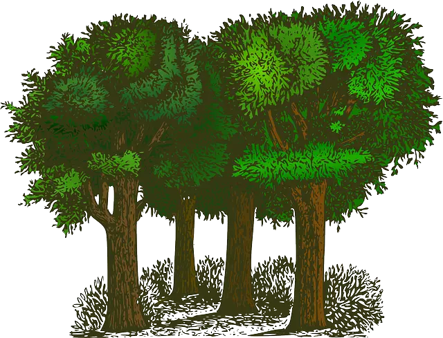 Image by OpenClipart-Vectors from Pixabay