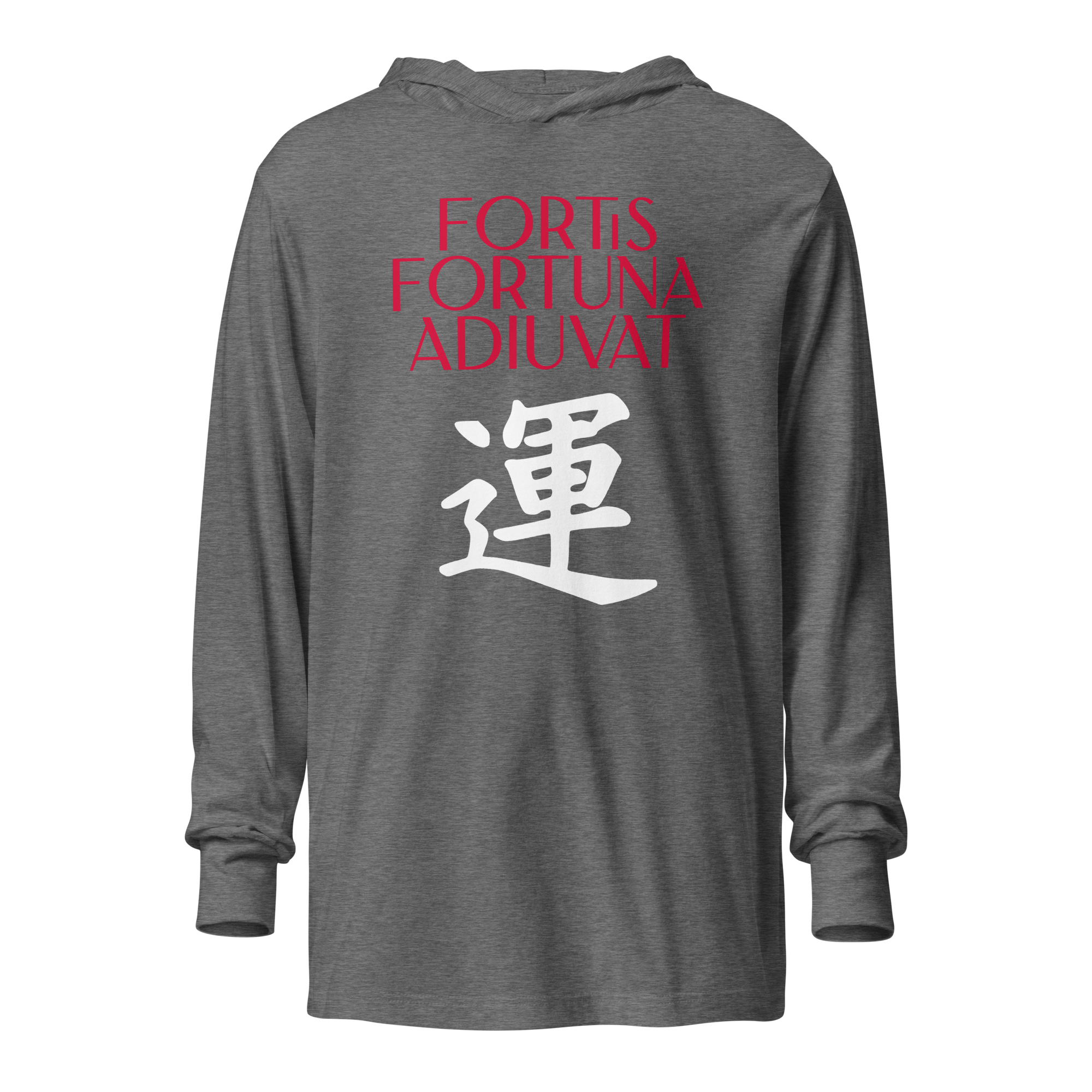 unisex-hooded-long-sleeve-tee-grey-triblend-front-68393045de794.png