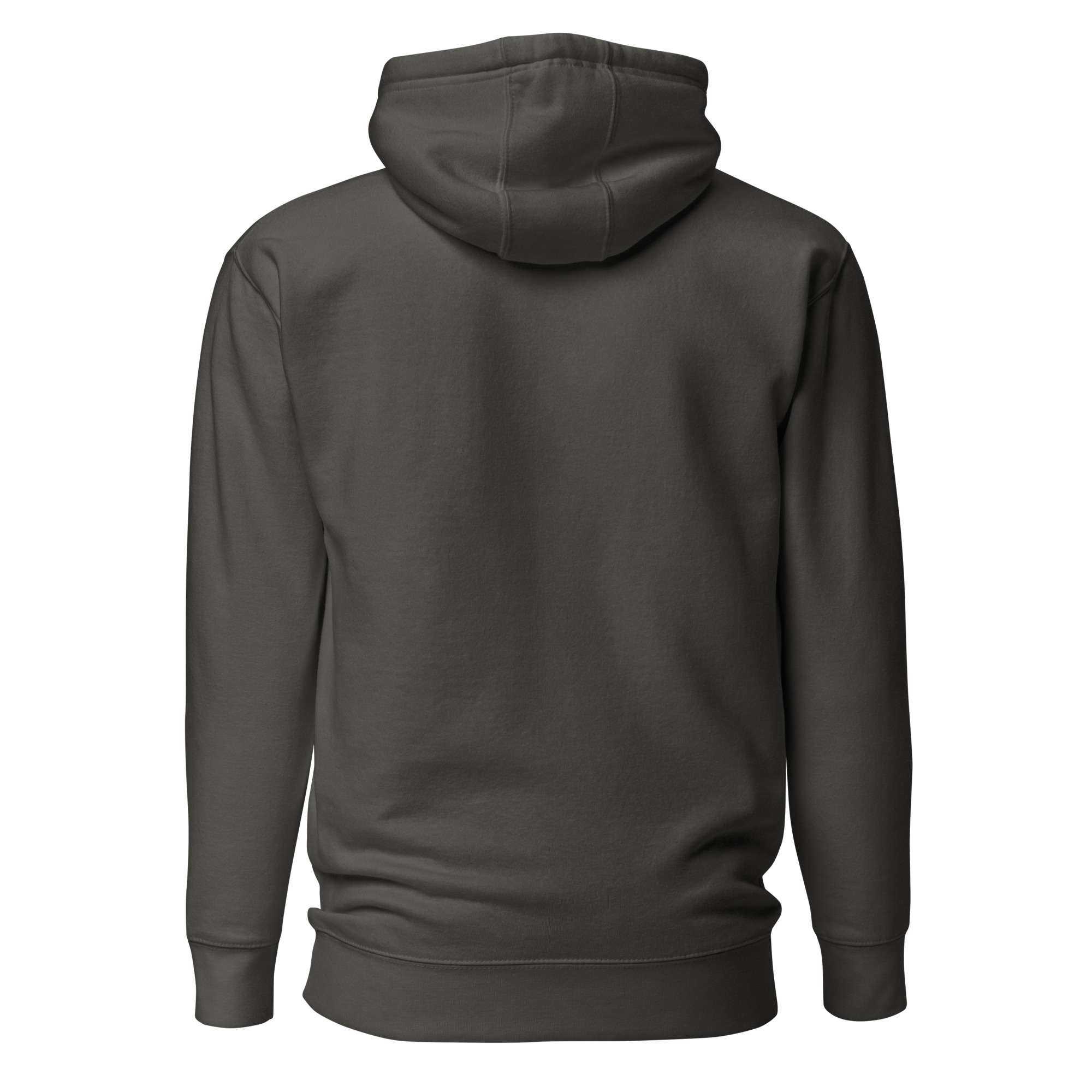 unisex-premium-hoodie-vintage-black-back-682e359496290.jpg