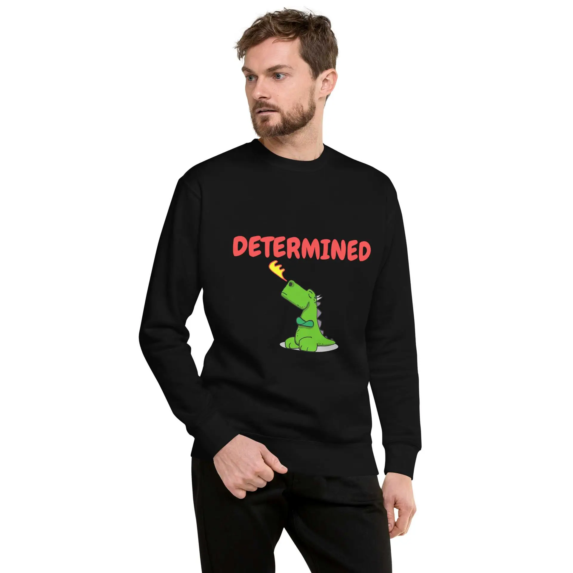 unisex-premium-sweatshirt-black-front-682e259828120.jpg