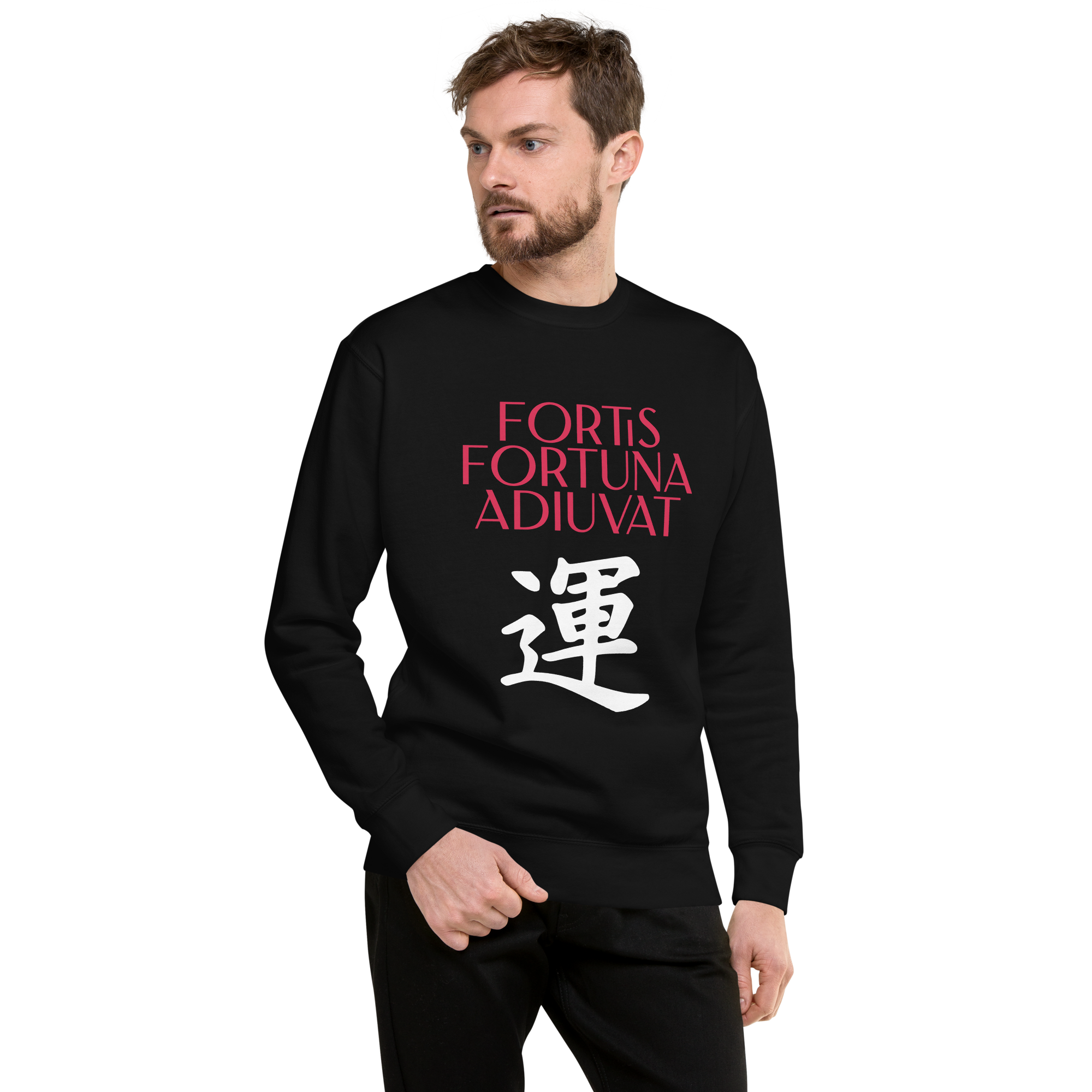unisex-premium-sweatshirt-black-front-68392f07111eb.png