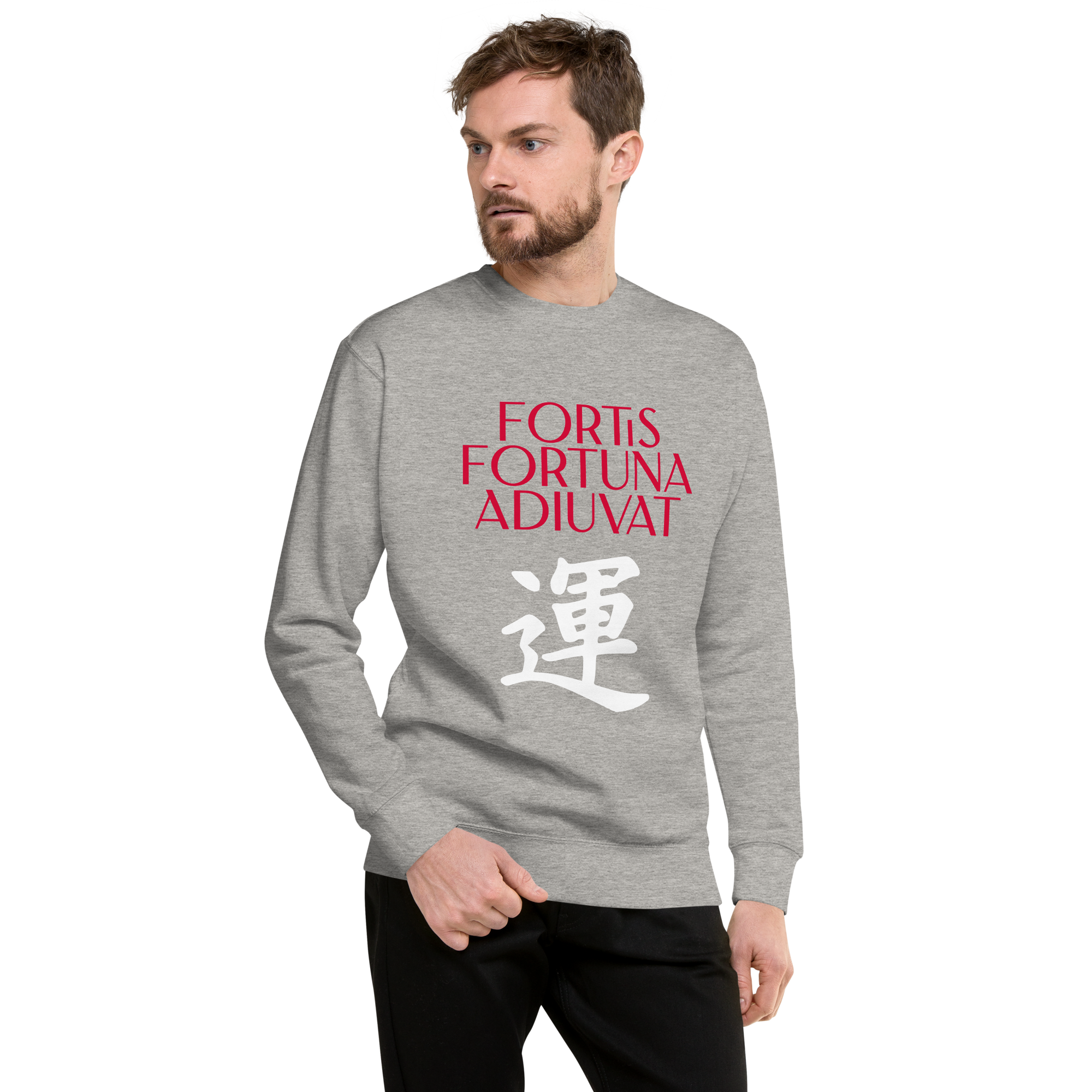 unisex-premium-sweatshirt-carbon-grey-front-68392f06eb86f.png