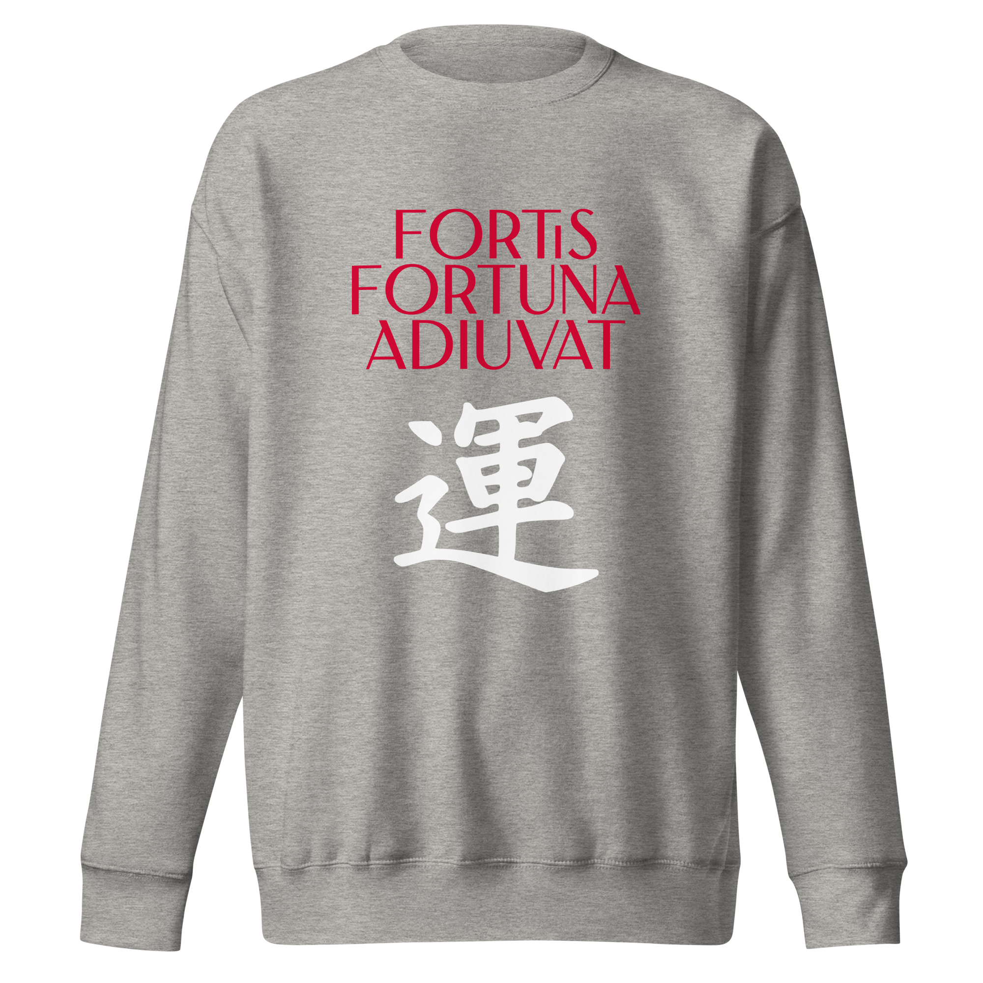 unisex-premium-sweatshirt-carbon-grey-front-68392f07177d1.png