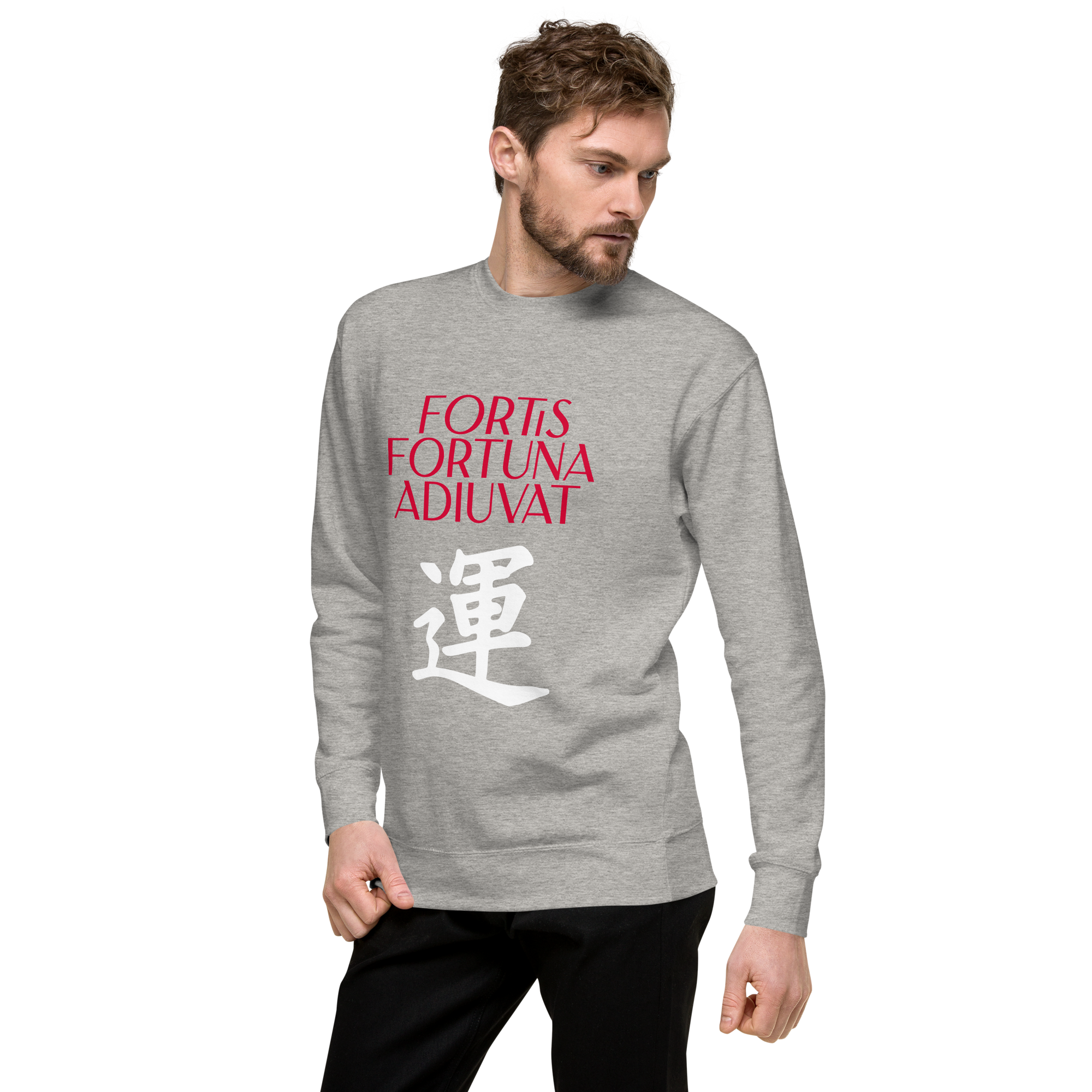 unisex-premium-sweatshirt-carbon-grey-left-front-68392f06f3dab.png