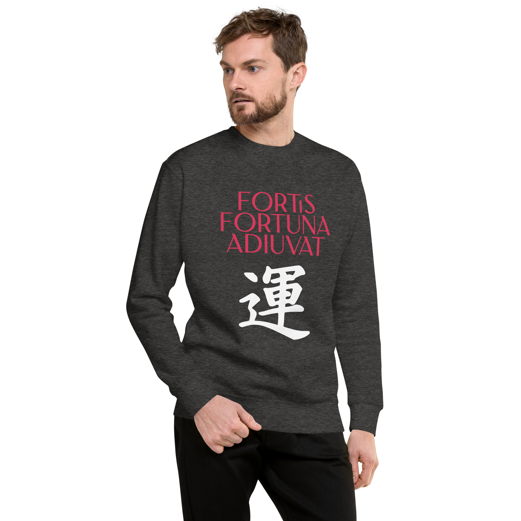 unisex-premium-sweatshirt-charcoal-heather-front-68392f070a1b4.png