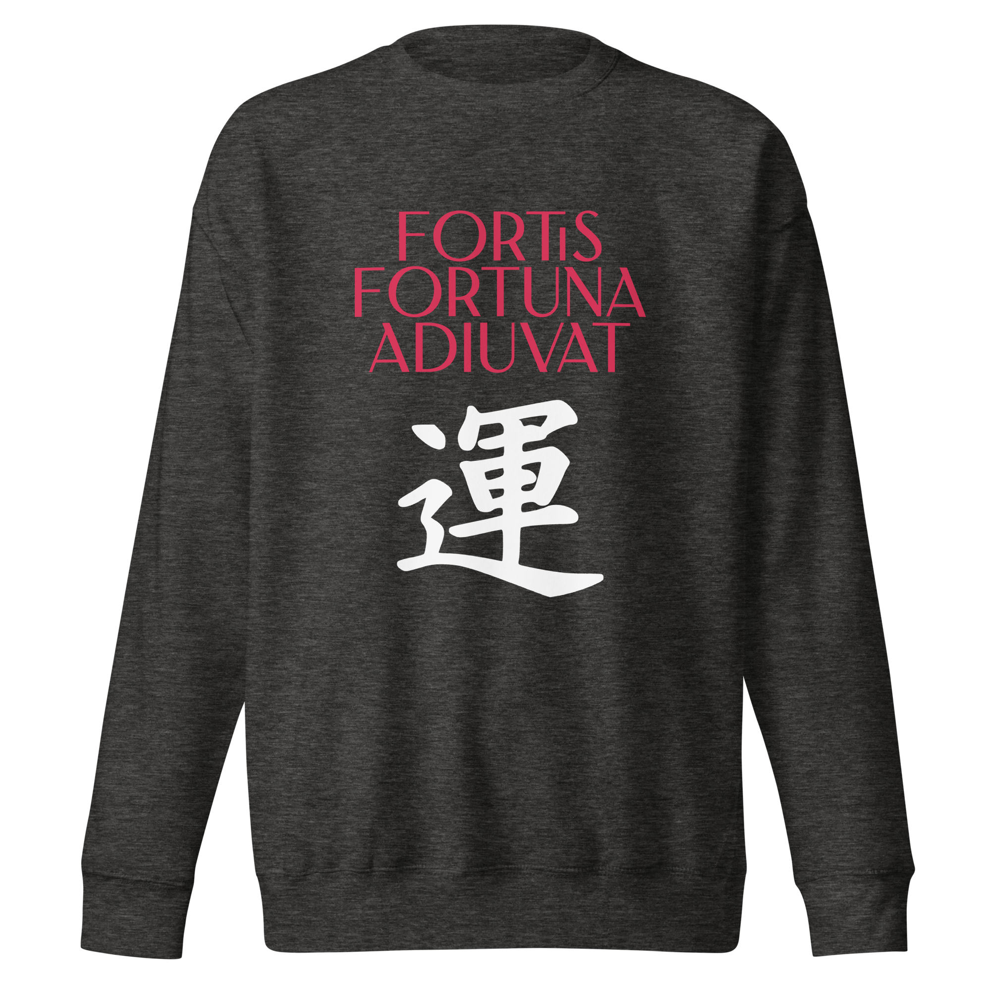 unisex-premium-sweatshirt-charcoal-heather-front-68392f0714e58.png