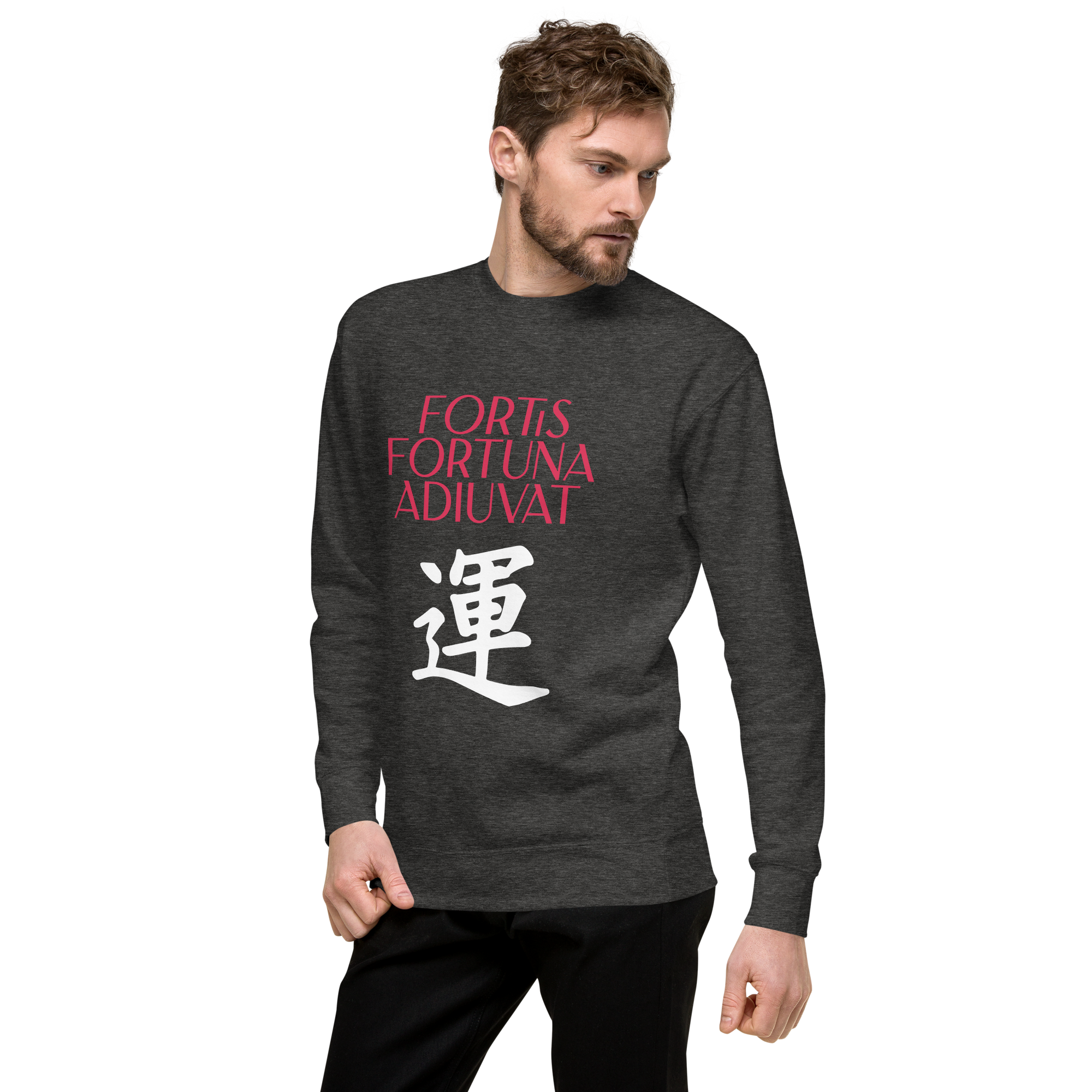 unisex-premium-sweatshirt-charcoal-heather-left-front-68392f070e2c0.png