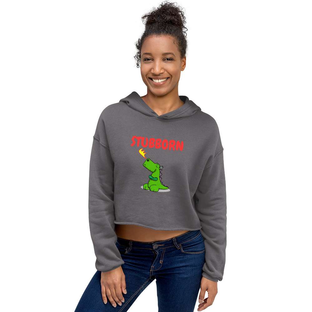 womens-cropped-hoodie-storm-front-682e88d45d253.jpg
