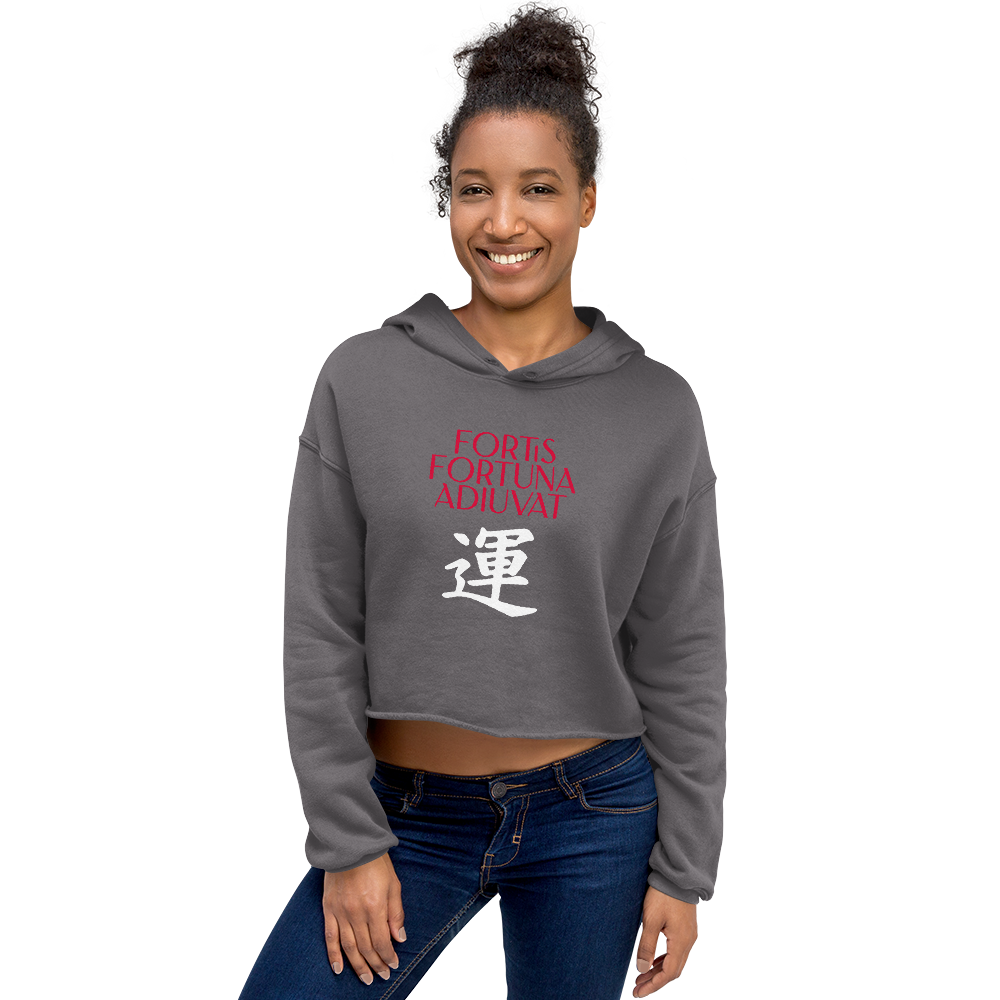 womens-cropped-hoodie-storm-front-68392e4ae076a.png