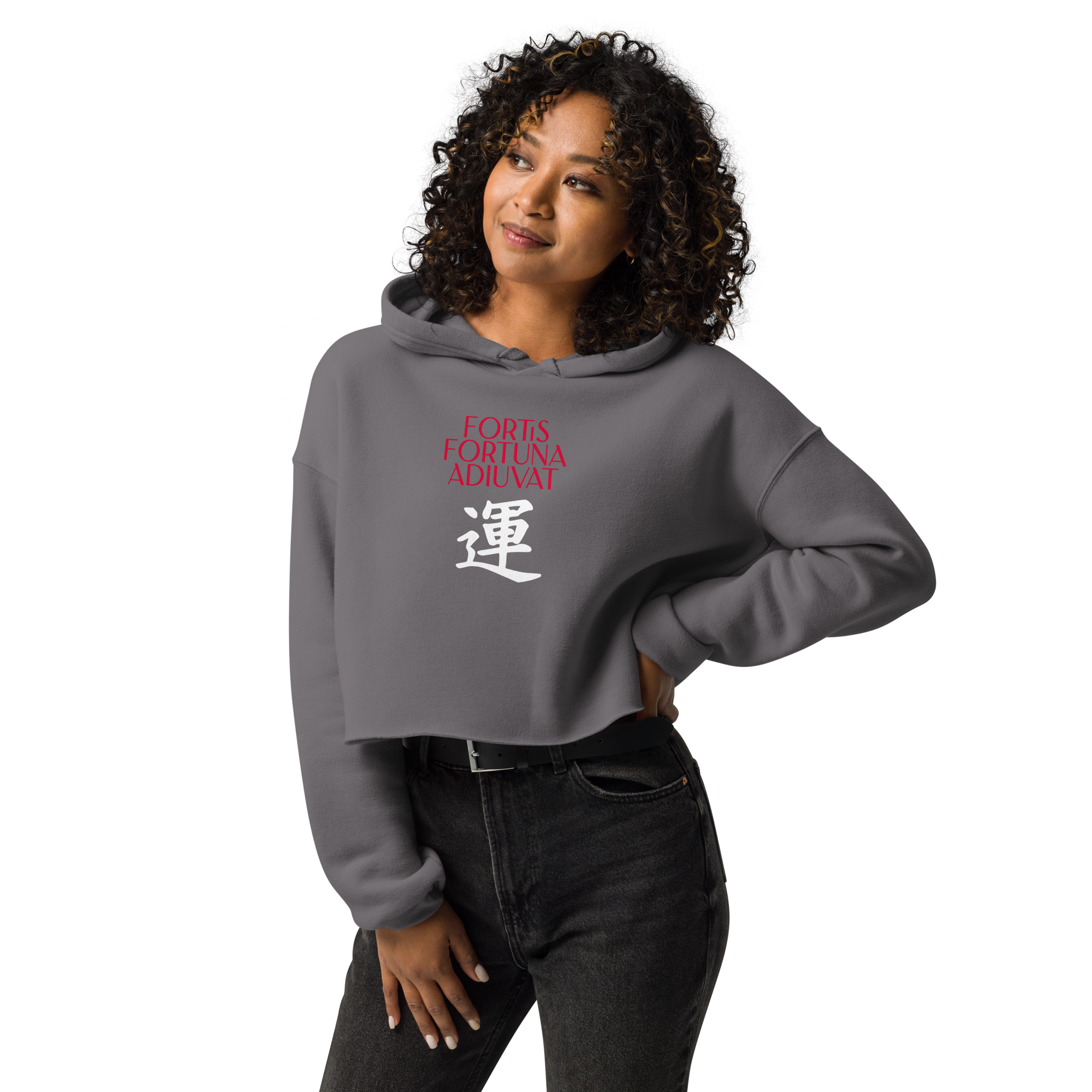 womens-cropped-hoodie-storm-front-68392e4ae1239.png