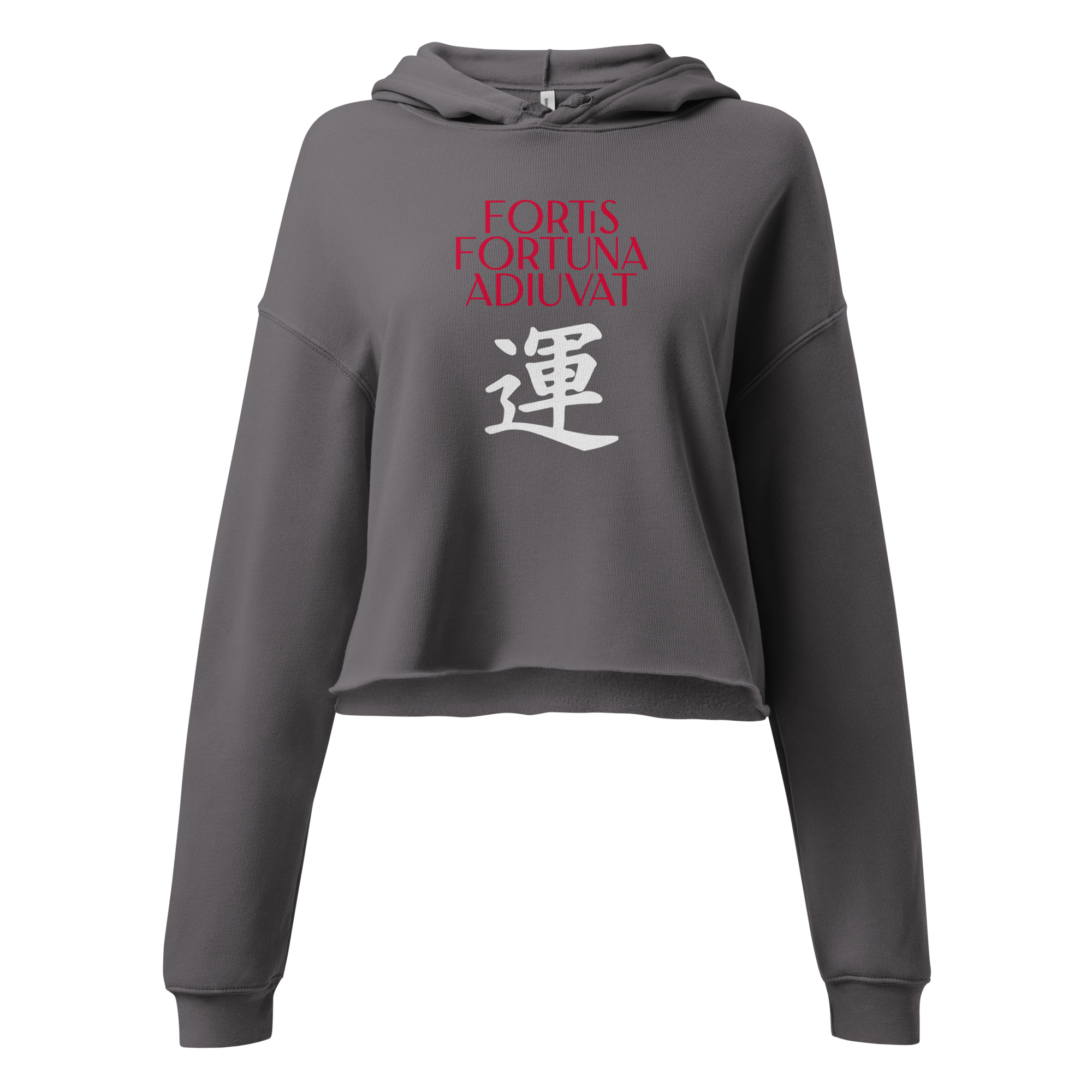 womens-cropped-hoodie-storm-front-68392e4ae2653.png