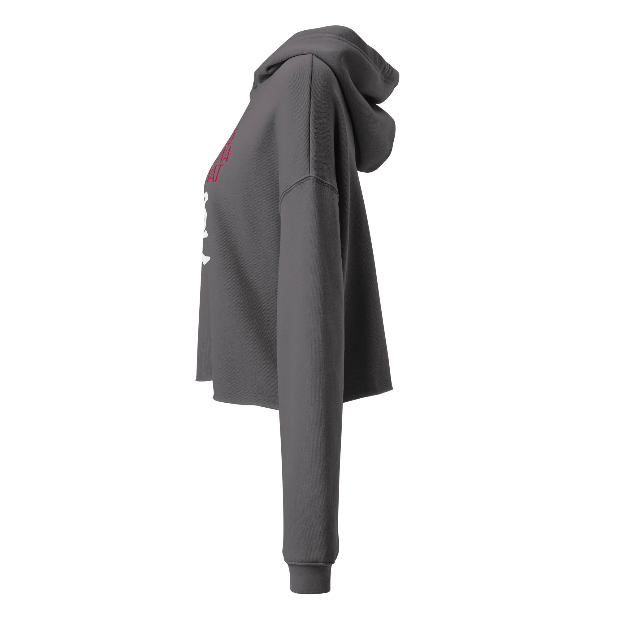 womens-cropped-hoodie-storm-left-68392e4ae2d3e.png
