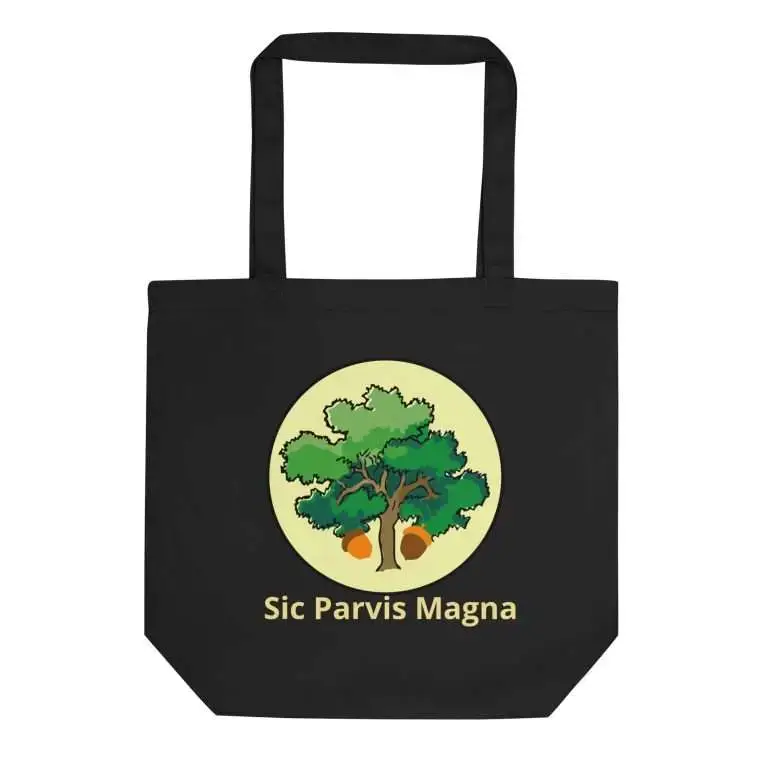 eco-tote-bag-black-front-68544874d6a52