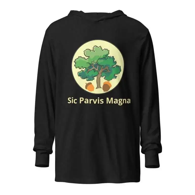 unisex-hooded-long-sleeve-tee-charcoal-black-triblend-front-685447eb751f8-2