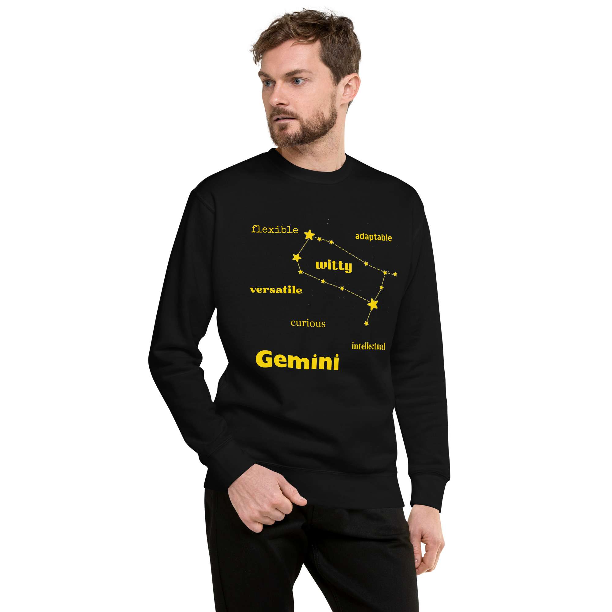 unisex-premium-sweatshirt-black-front-684bb1d229b0f.jpg