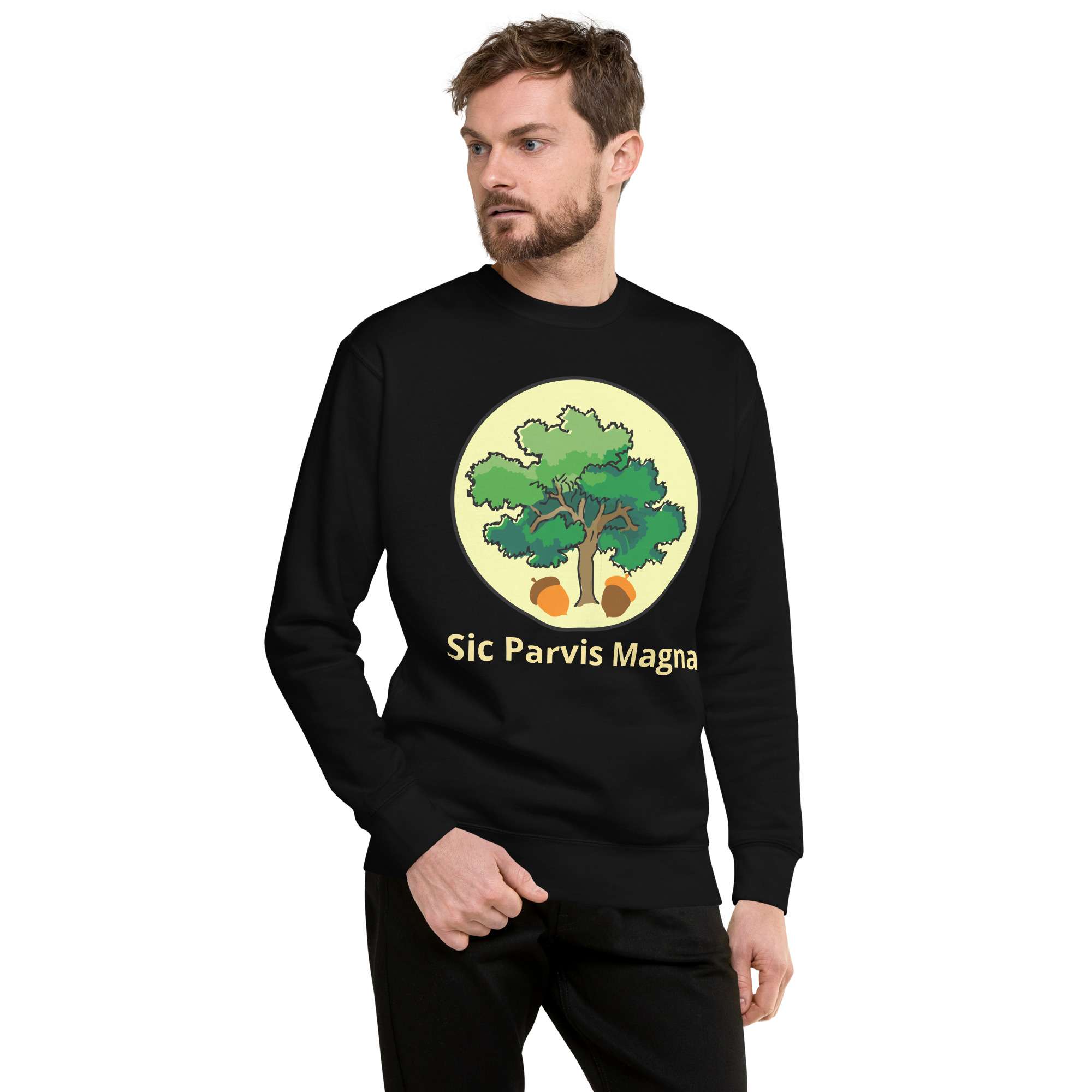 unisex-premium-sweatshirt-black-front-685417feae8f9.jpg