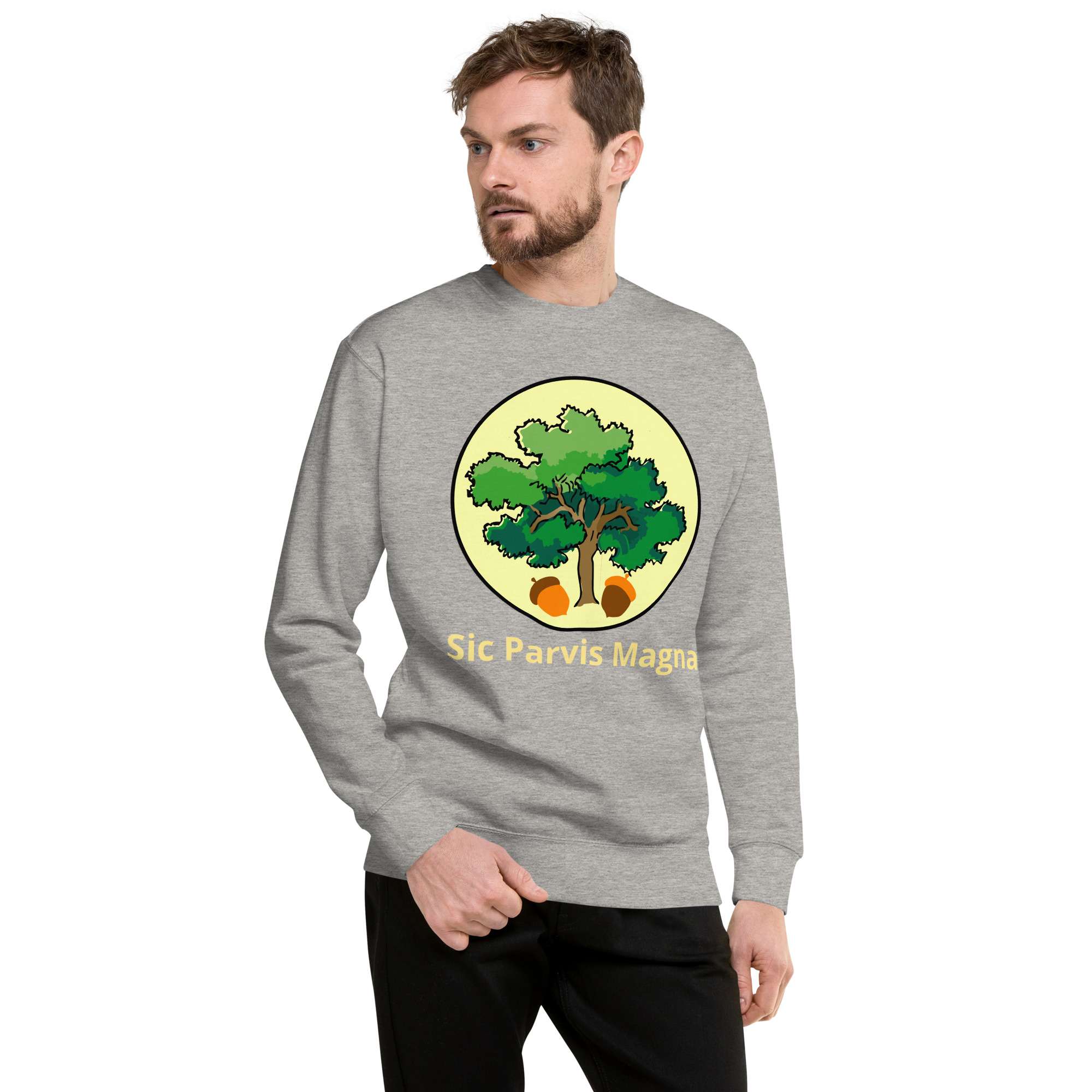 unisex-premium-sweatshirt-carbon-grey-front-685417fecc9cd.jpg