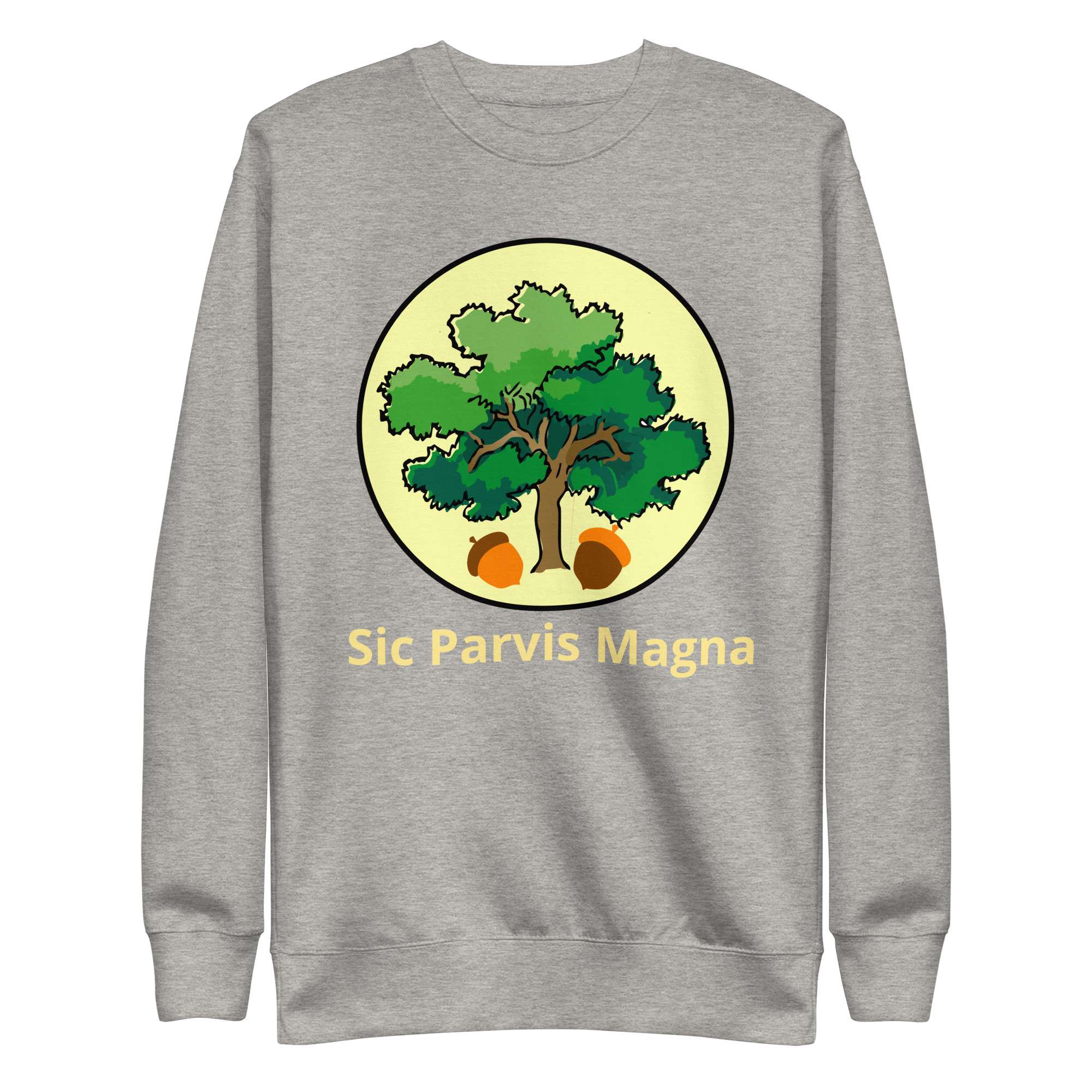 unisex-premium-sweatshirt-carbon-grey-front-685417fed5f77.jpg