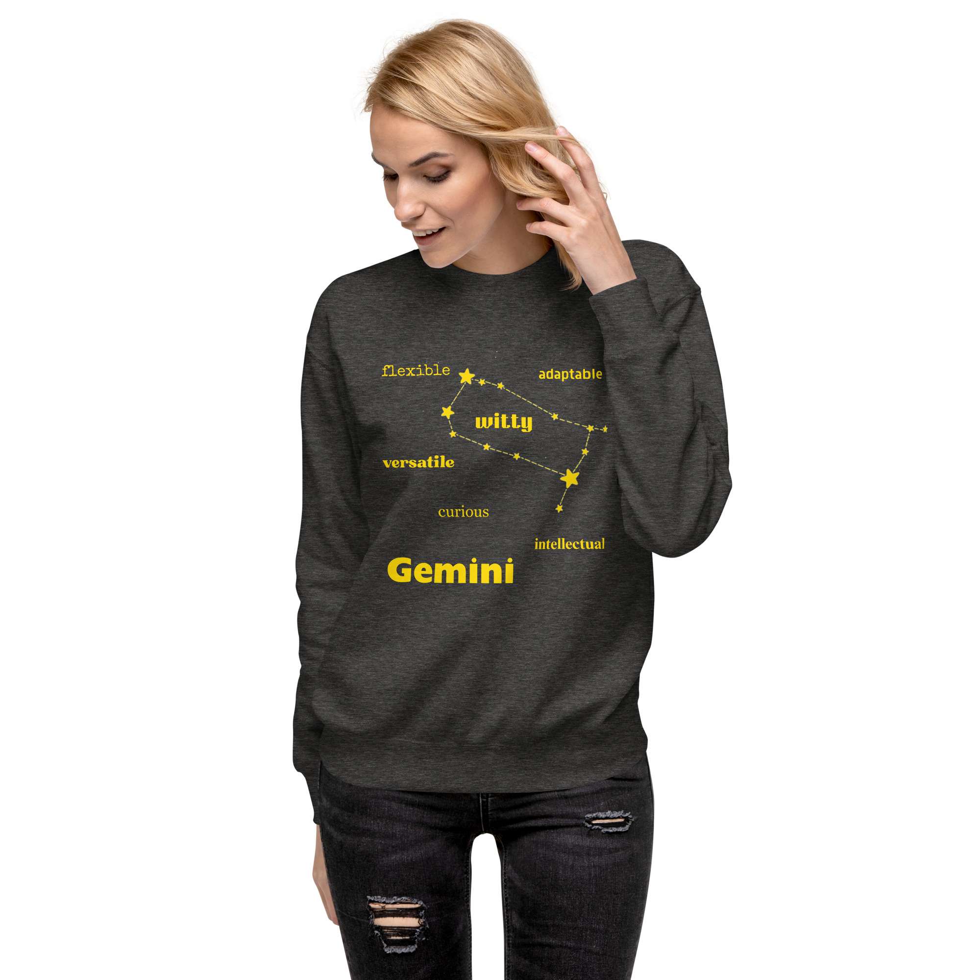 unisex-premium-sweatshirt-charcoal-heather-front-684bb1d22a20e.jpg