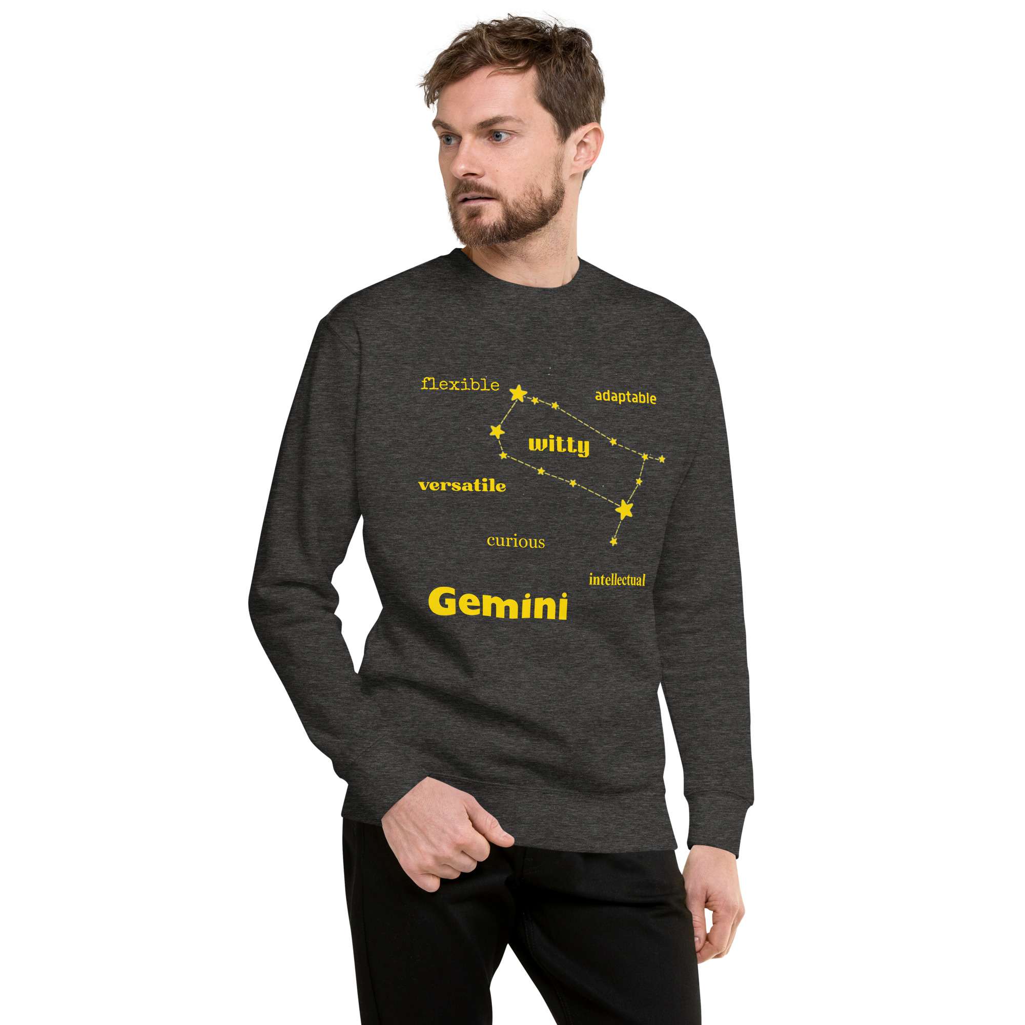 unisex-premium-sweatshirt-charcoal-heather-front-684bb1d22c027.jpg