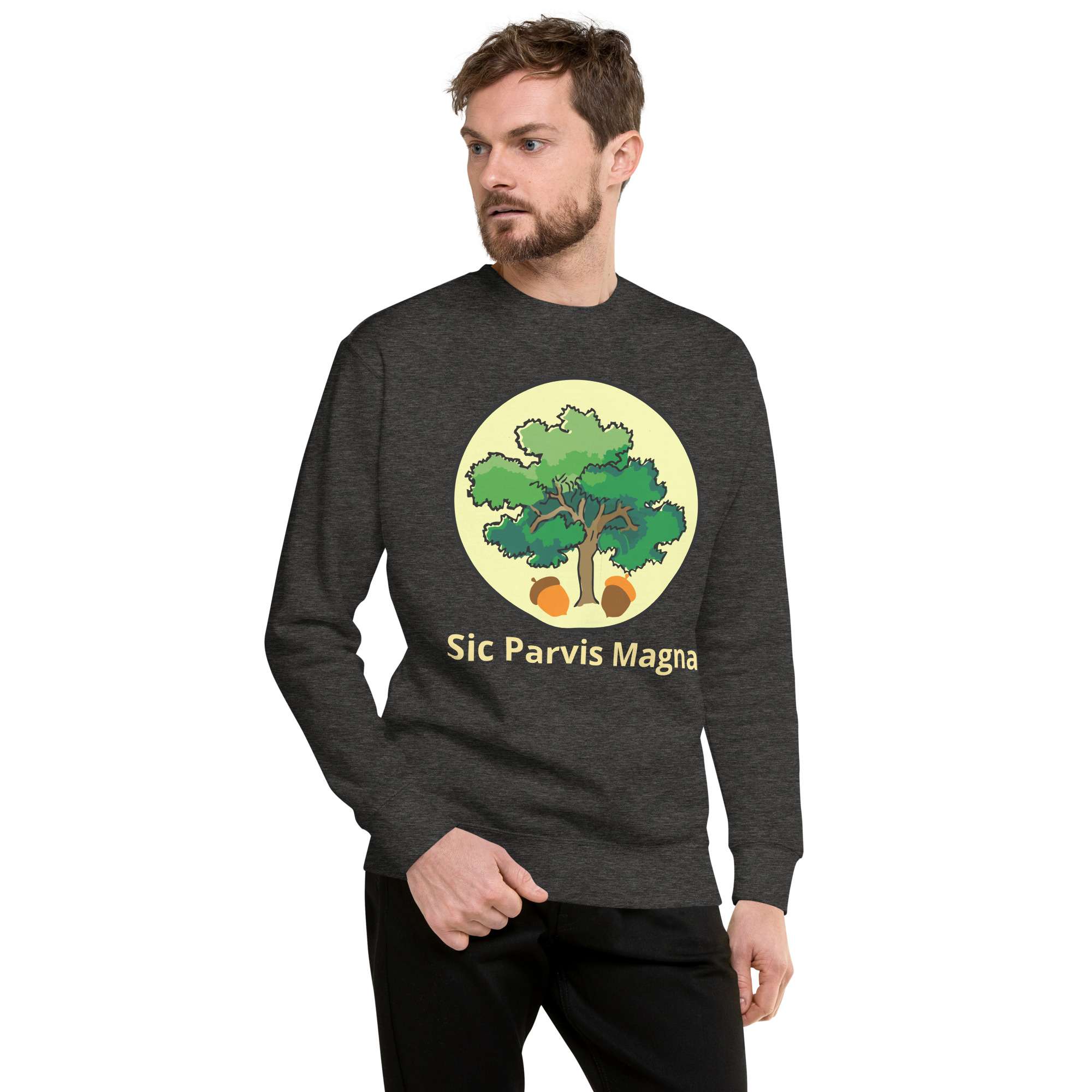 unisex-premium-sweatshirt-charcoal-heather-front-685417feb3738.jpg