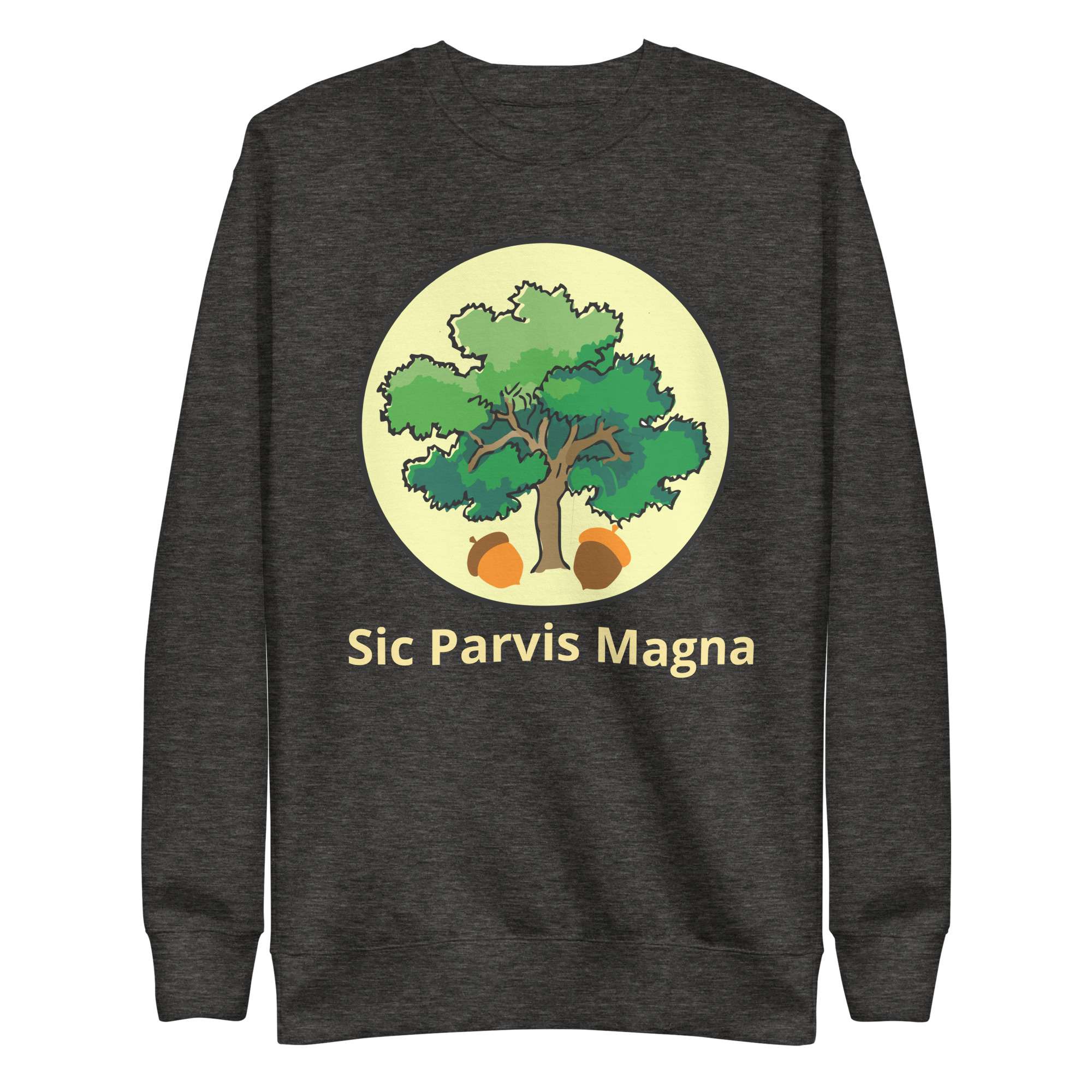 unisex-premium-sweatshirt-charcoal-heather-front-685417fed091a.jpg