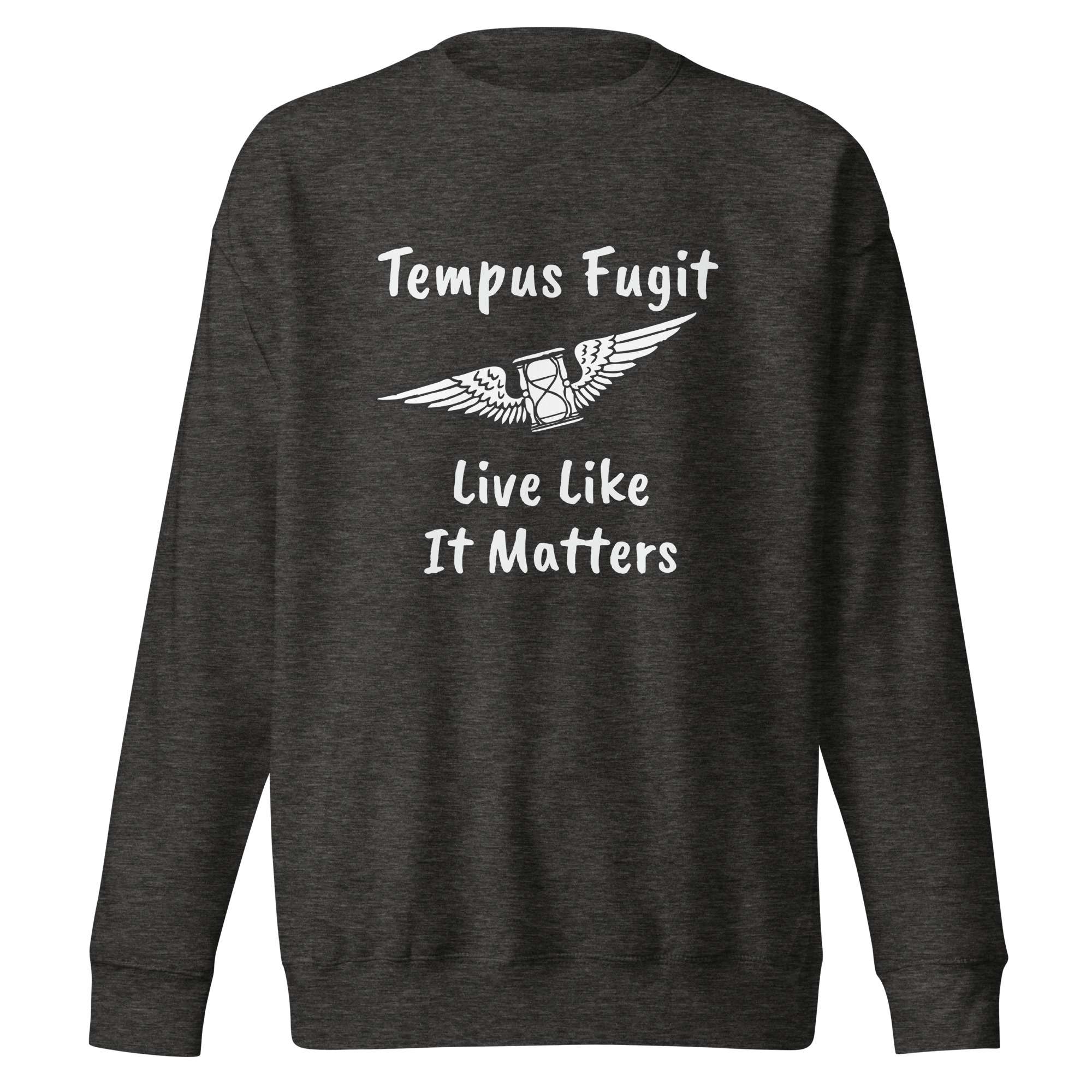 unisex-premium-sweatshirt-charcoal-heather-front-68554967dcc06.jpg