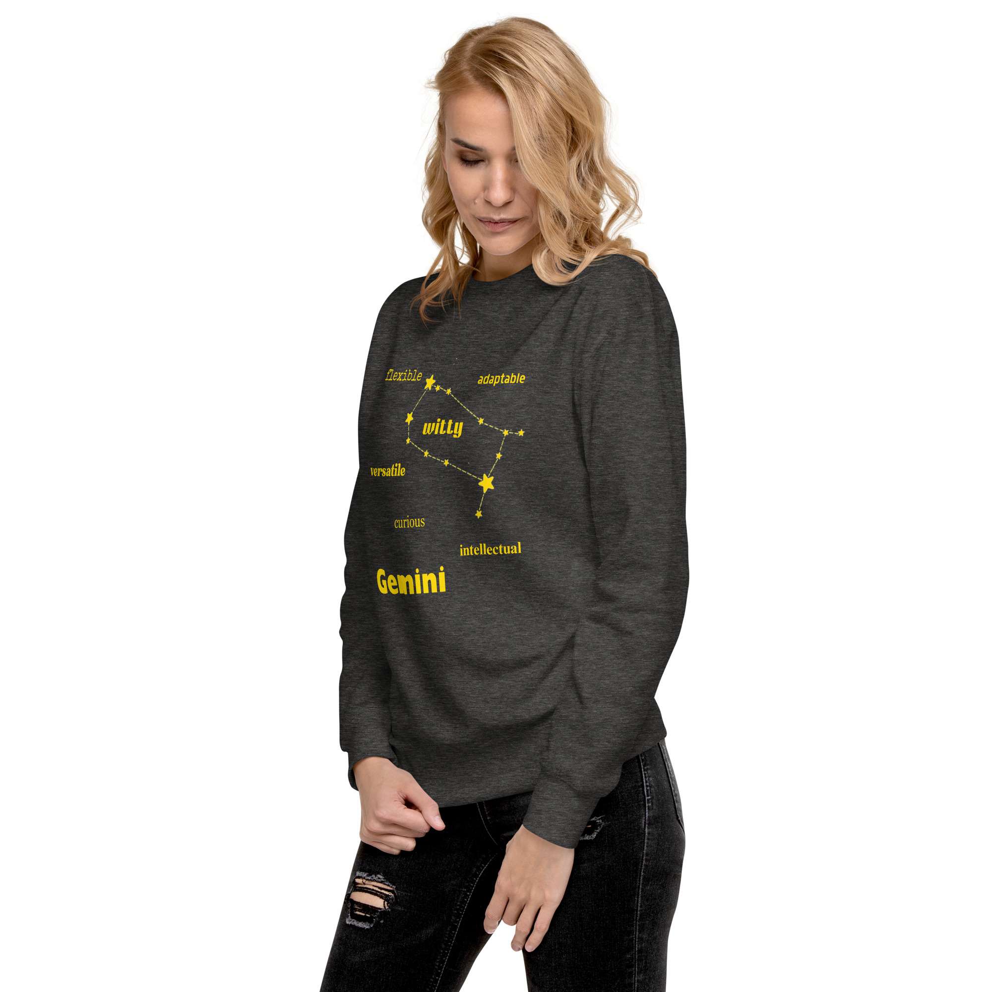 unisex-premium-sweatshirt-charcoal-heather-left-front-684bb1d22e65a.jpg