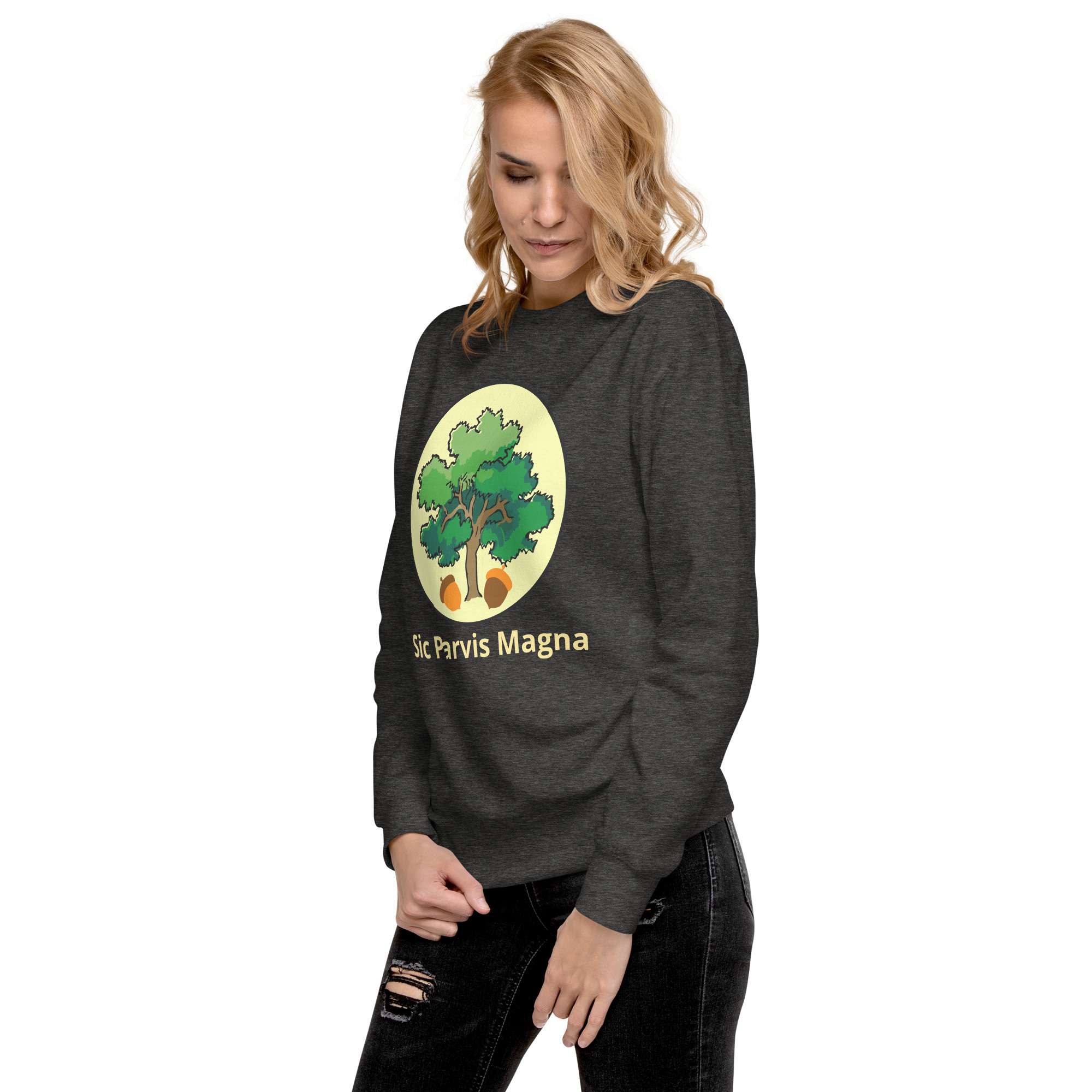unisex-premium-sweatshirt-charcoal-heather-left-front-685417feaffef.jpg