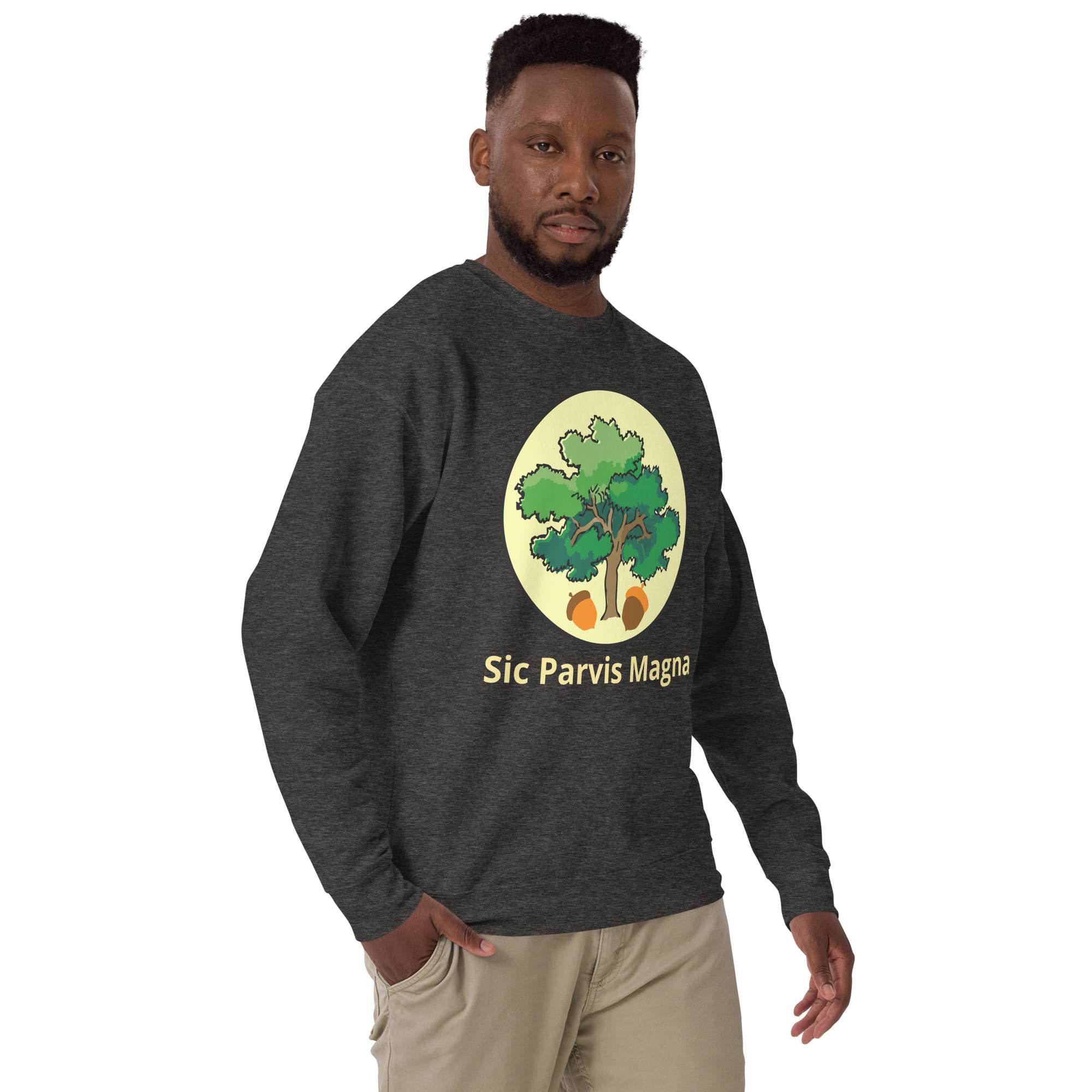 unisex-premium-sweatshirt-charcoal-heather-right-front-685417feb1c29.jpg