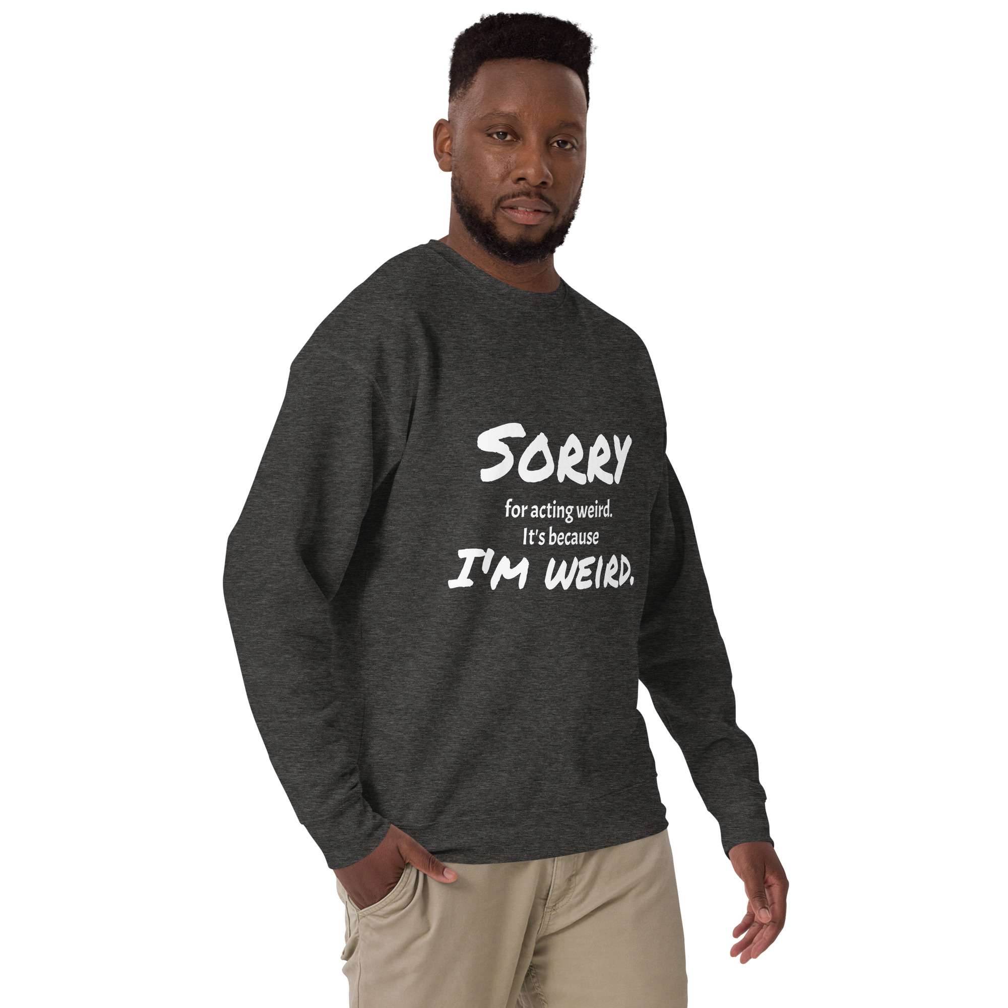 unisex-premium-sweatshirt-charcoal-heather-right-front-6854b7e59626c.jpg
