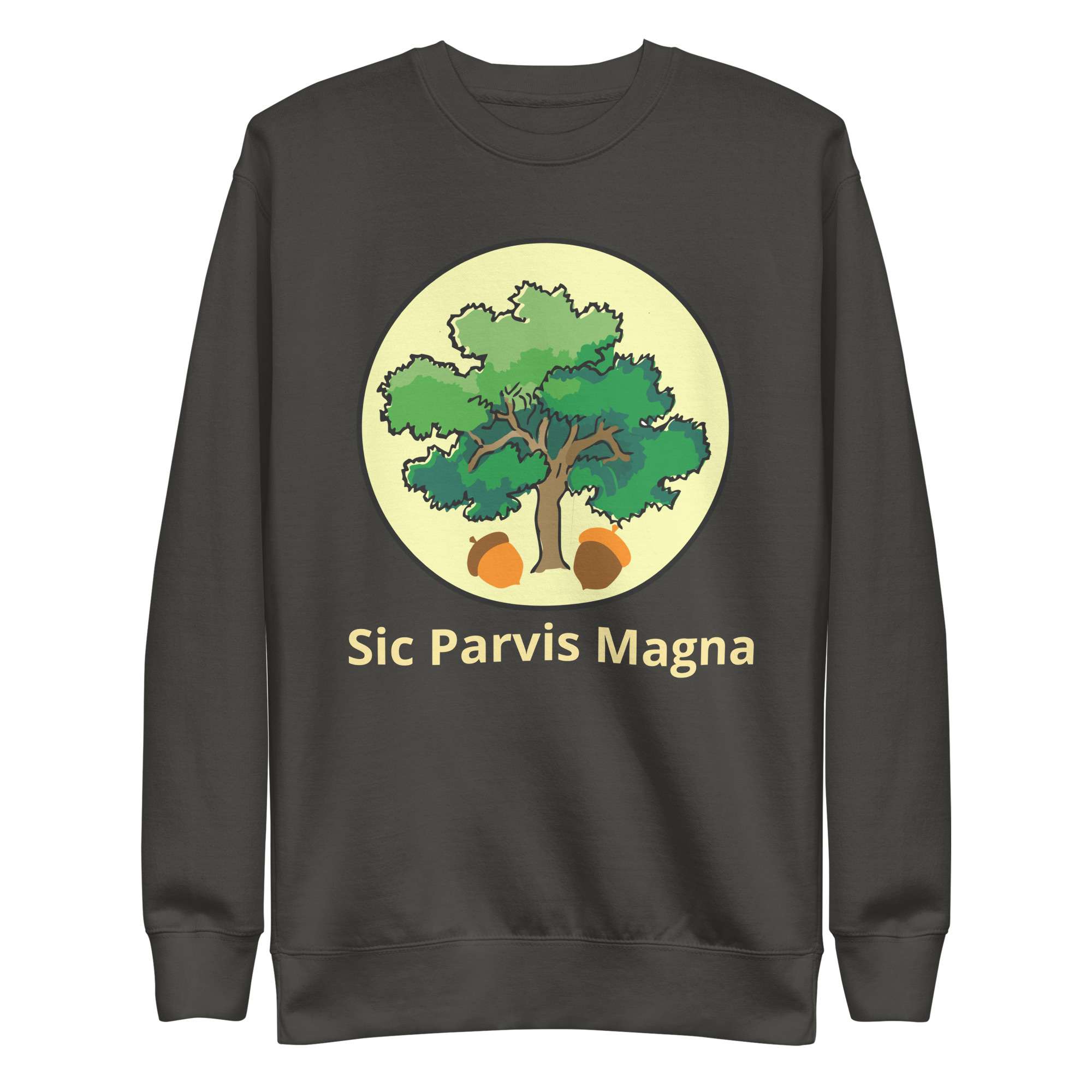 unisex-premium-sweatshirt-vintage-black-front-685417fed26c5.jpg