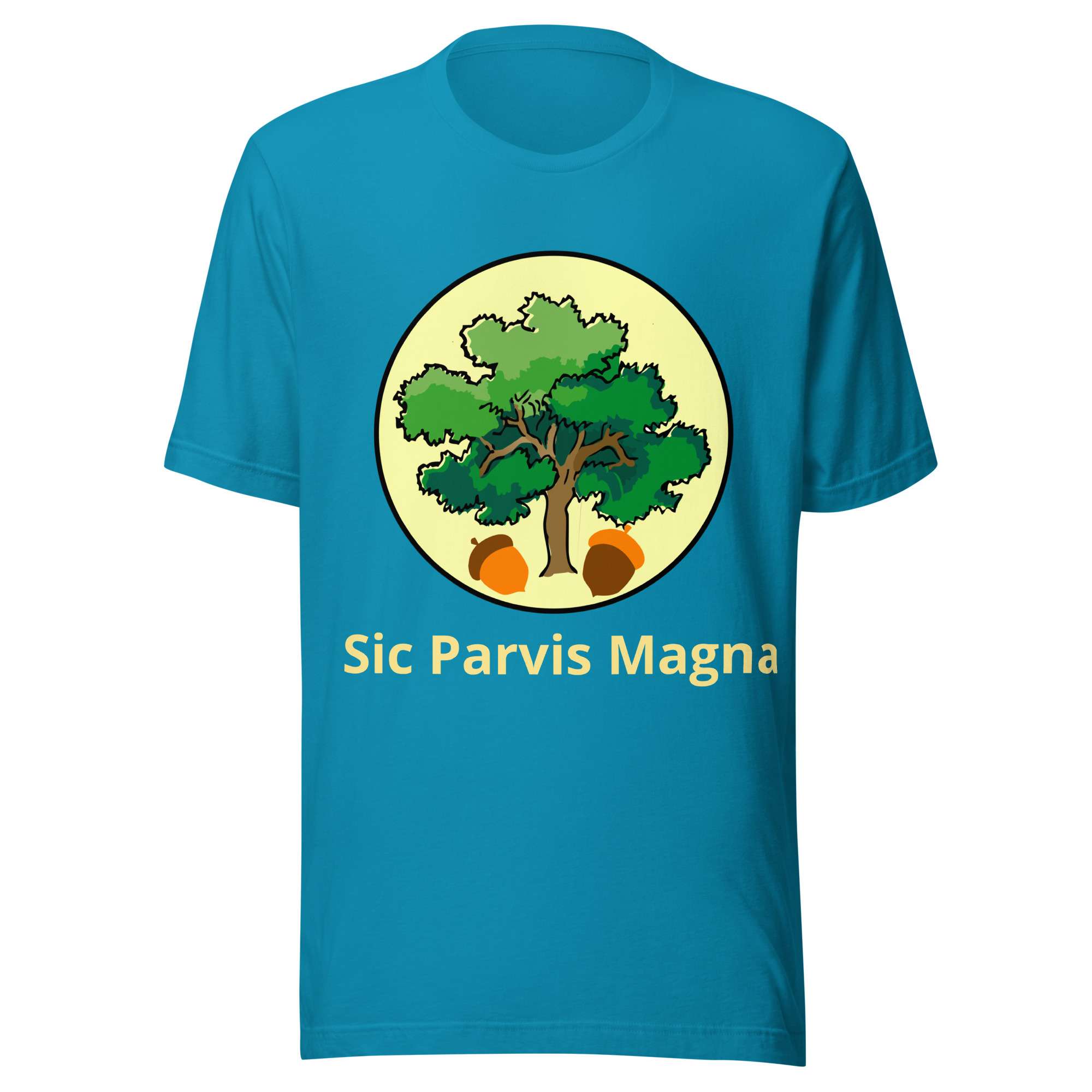 unisex-staple-t-shirt-aqua-front-68541711b40ae.jpg