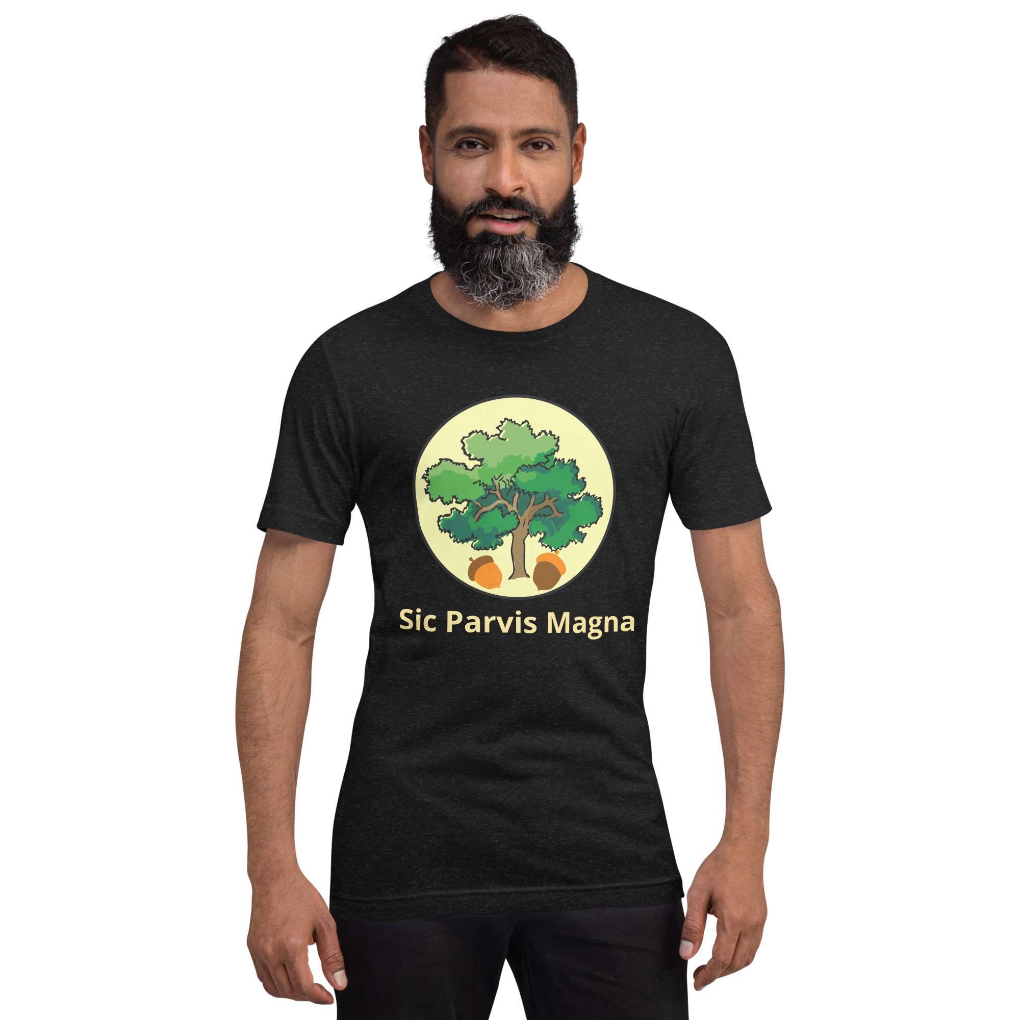 unisex-staple-t-shirt-black-heather-front-68541711222ea.jpg