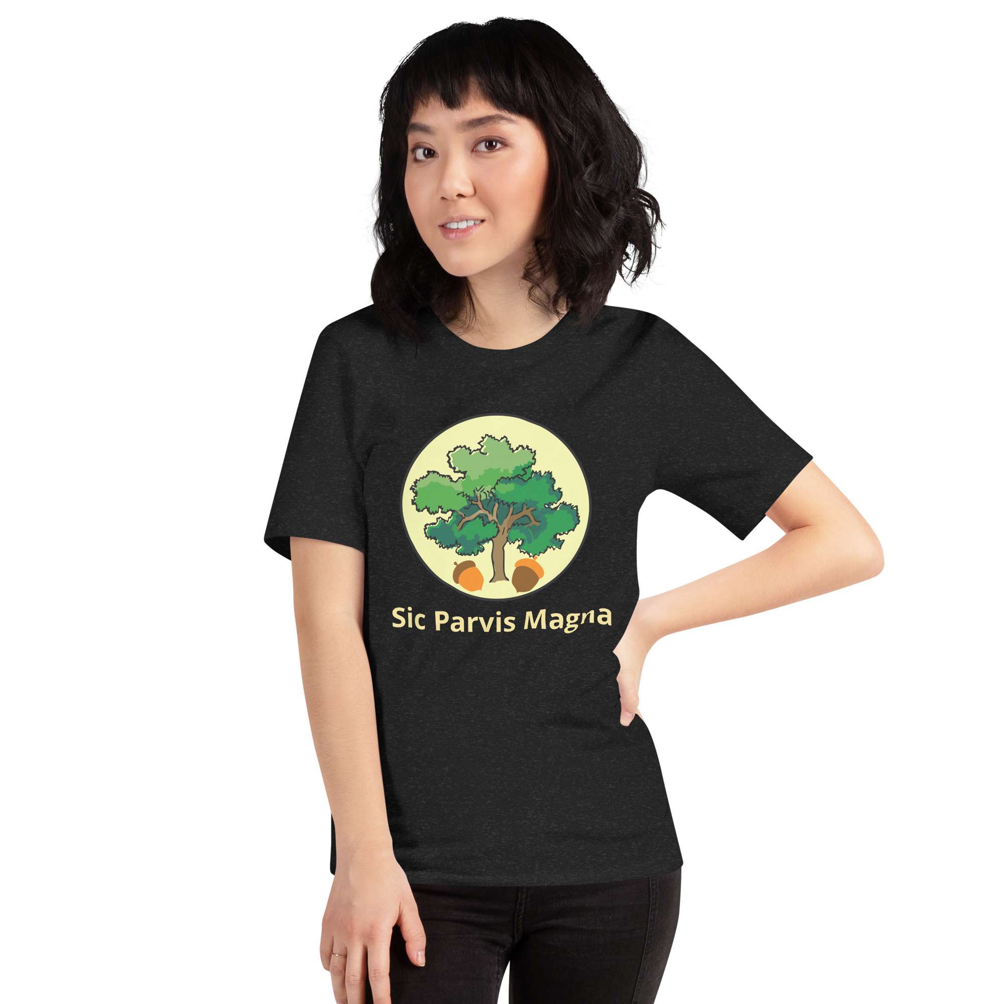 unisex-staple-t-shirt-black-heather-front-6854171122ee5.jpg