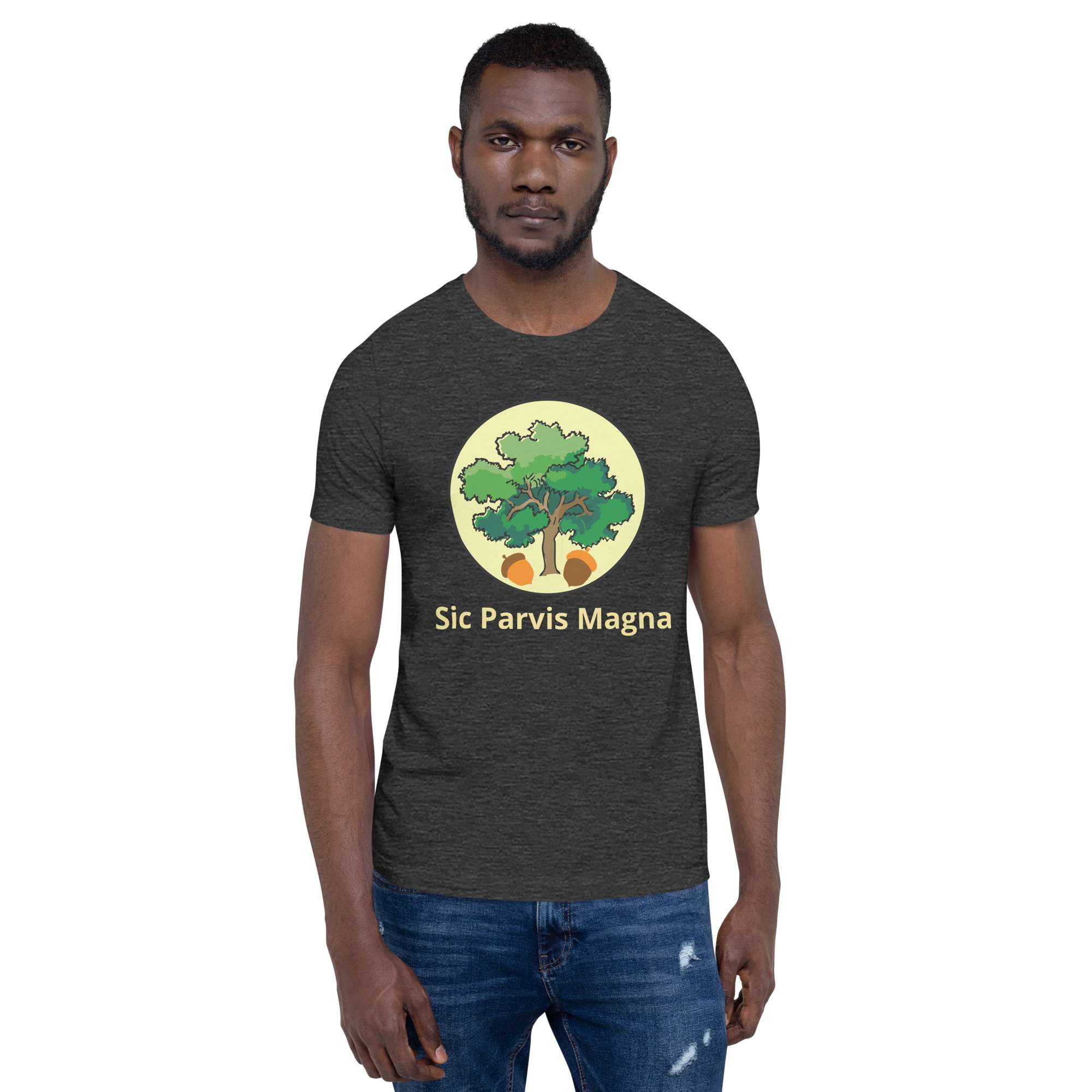 unisex-staple-t-shirt-dark-grey-heather-front-685417114ee32.jpg