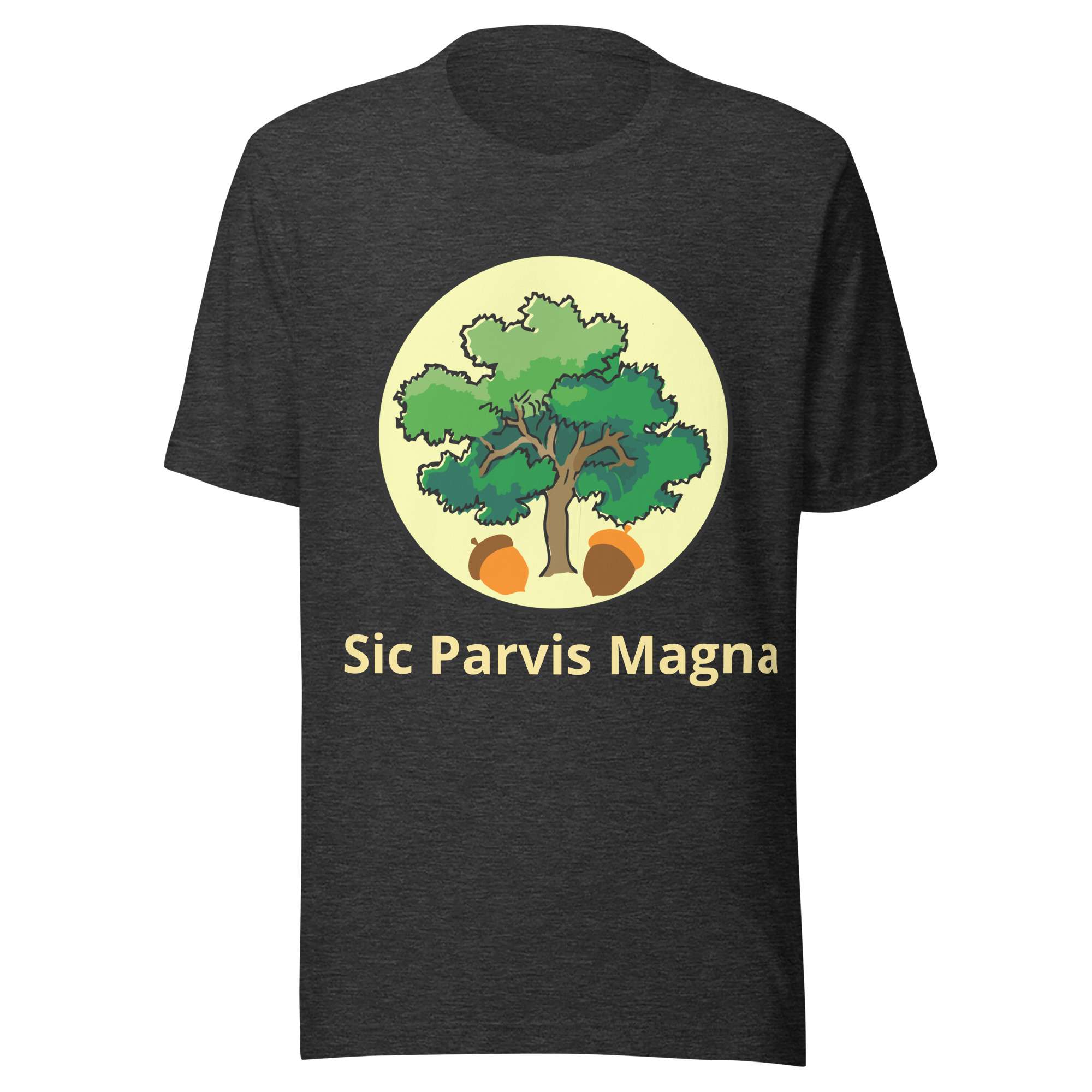 unisex-staple-t-shirt-dark-grey-heather-front-68541711a9f05.jpg