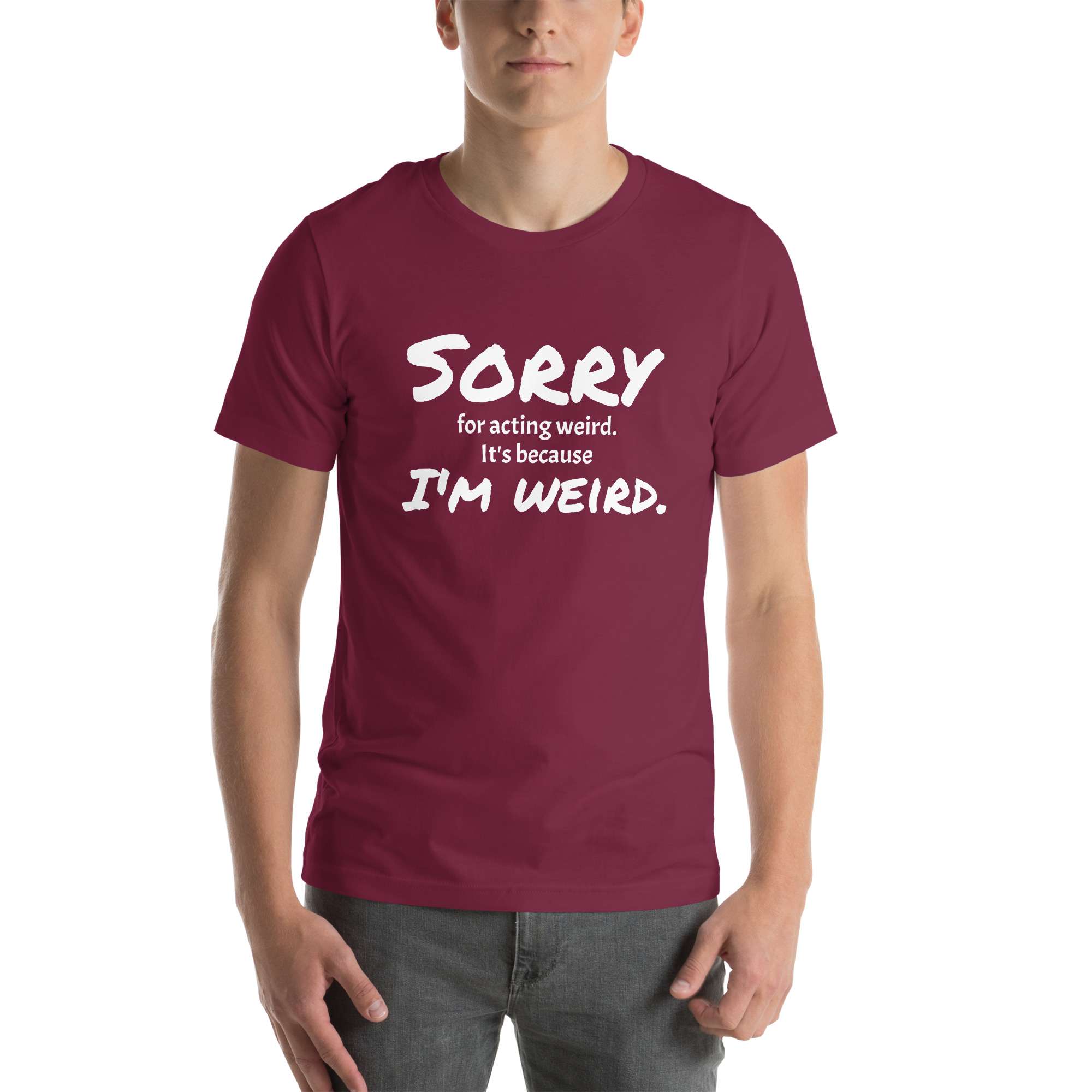 unisex-staple-t-shirt-maroon-front-6854b6ef74586.jpg