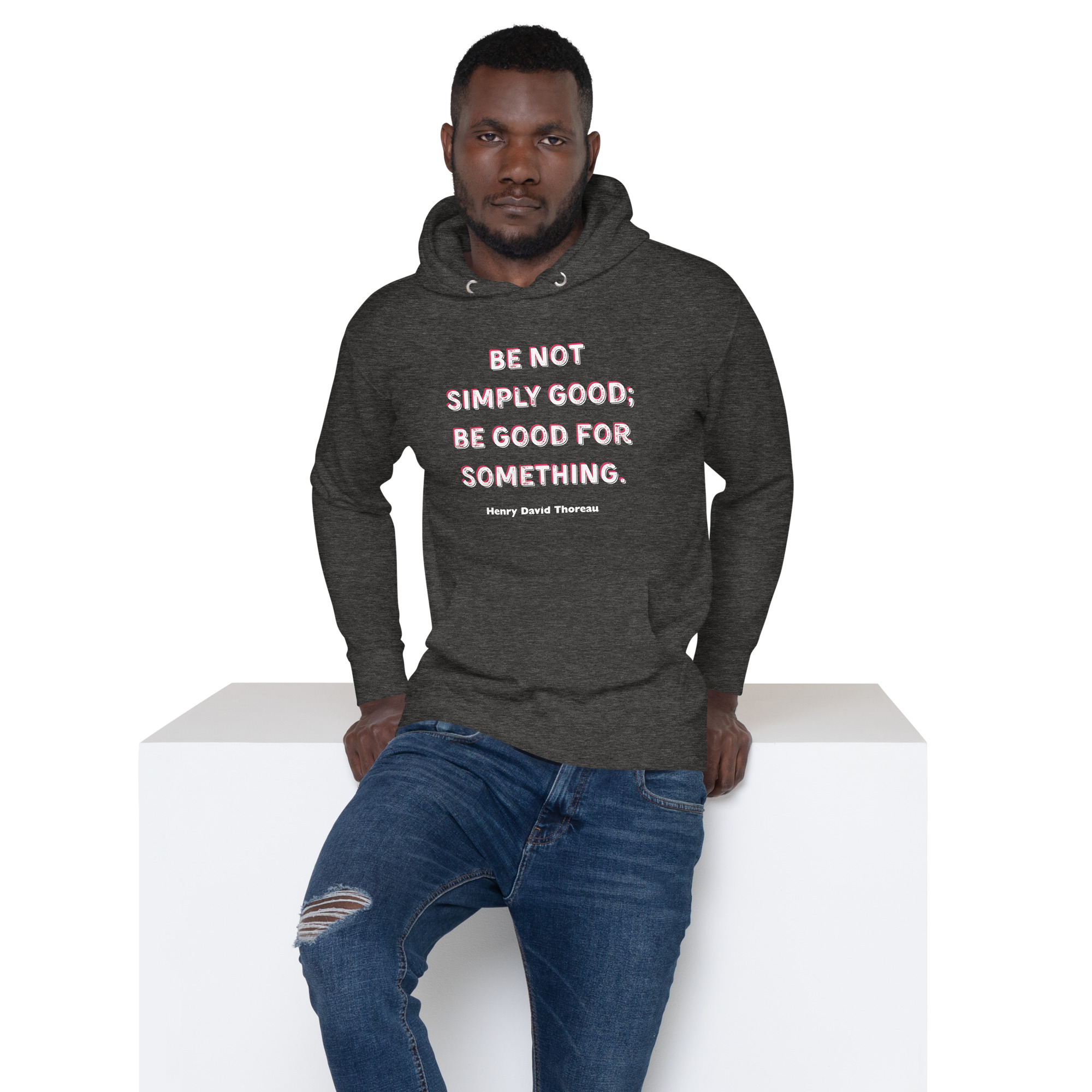 unisex-premium-hoodie-charcoal-heather-front-68660c918906a.jpg