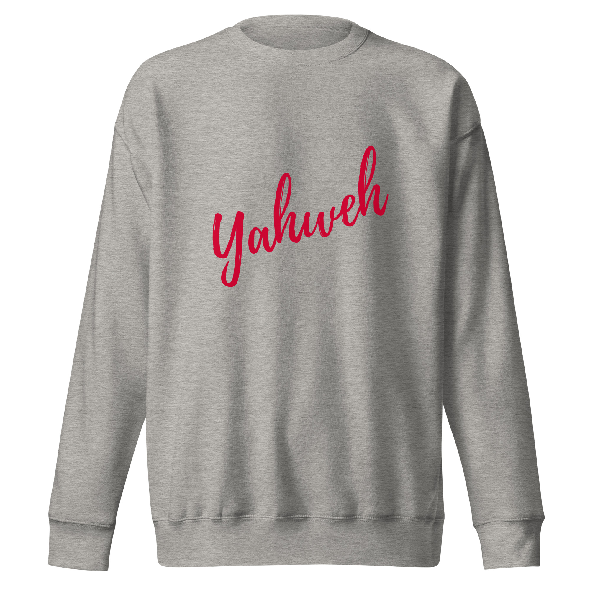 unisex-premium-sweatshirt-carbon-grey-front-686a04acbc457.jpg