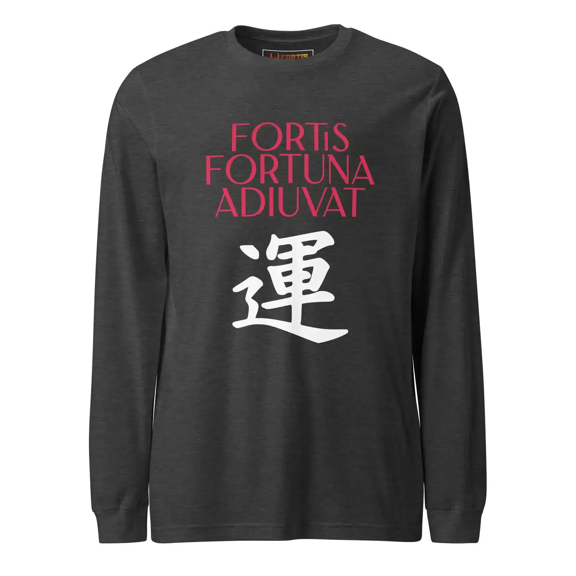 unisex-long-sleeve-tee-dark-grey-heather-front-68ee8e58ebab4.jpg
