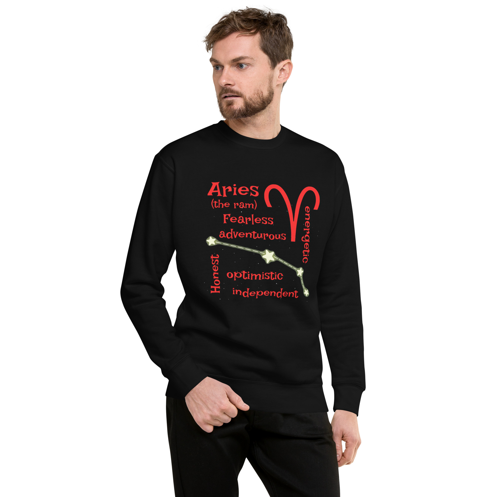 unisex-premium-sweatshirt-black-front-68ffb214794b7.jpg
