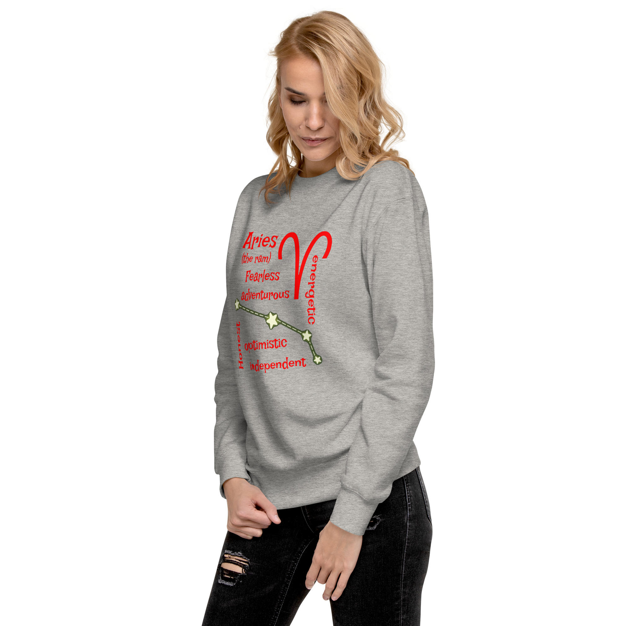 unisex-premium-sweatshirt-carbon-grey-left-front-68ffb2147e445.jpg