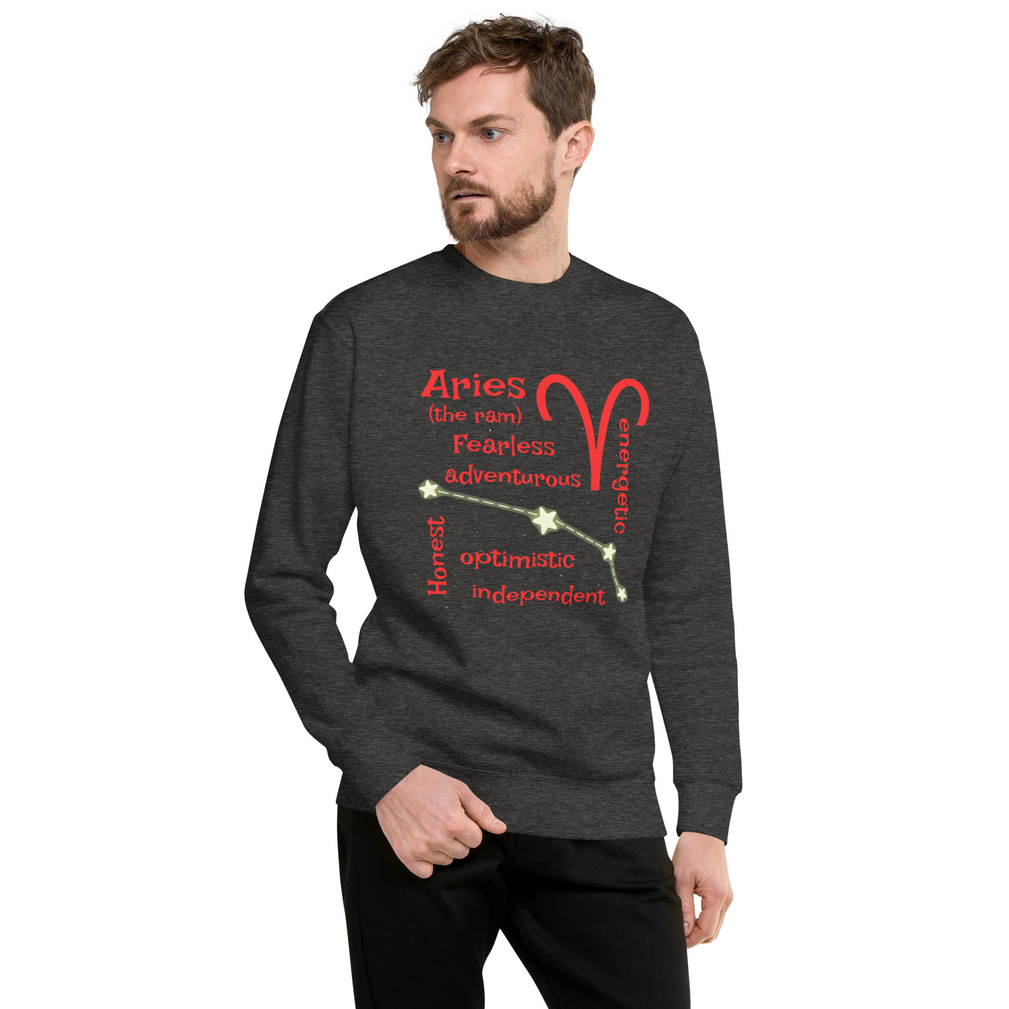 unisex-premium-sweatshirt-charcoal-heather-front-68ffb214769c2.jpg