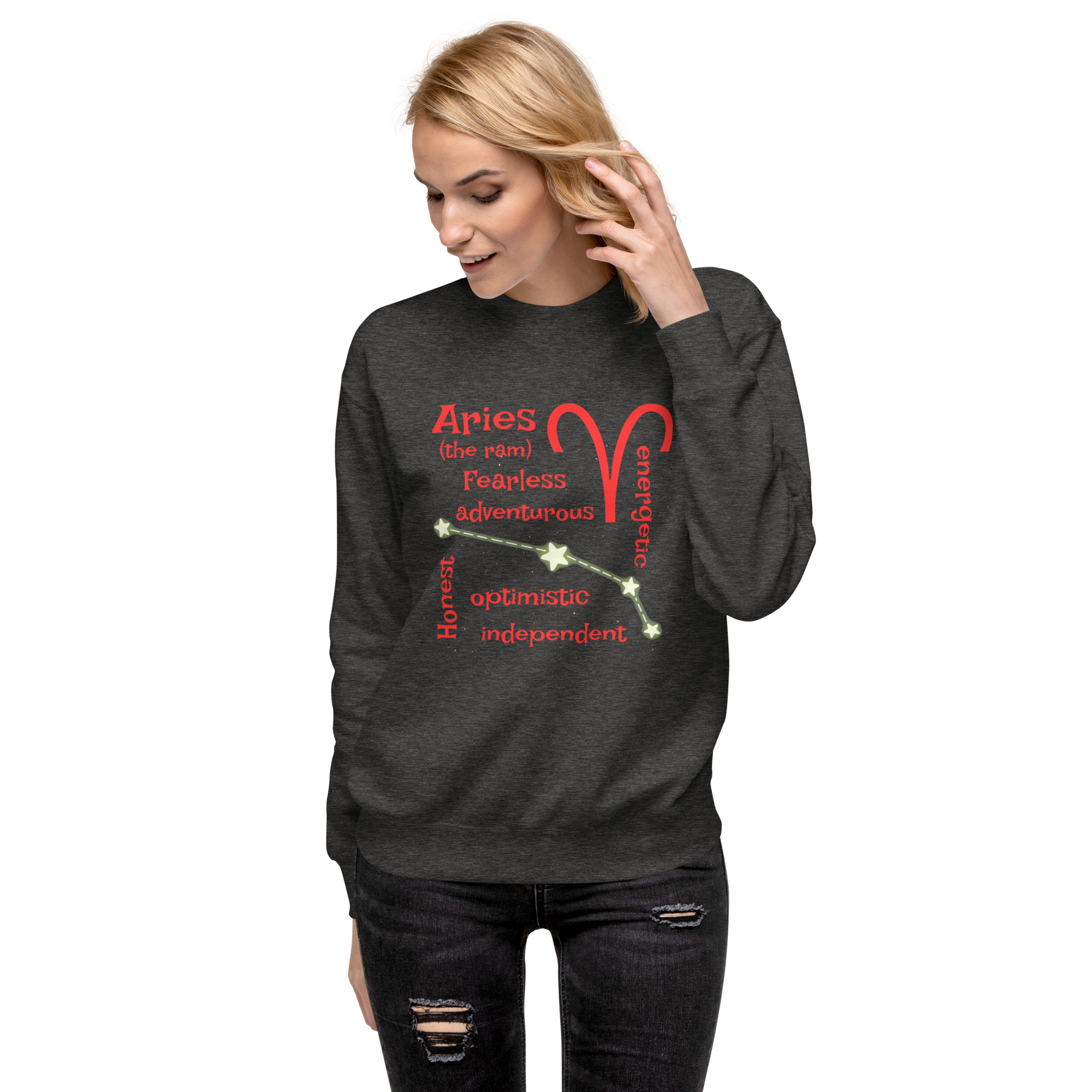 unisex-premium-sweatshirt-charcoal-heather-front-68ffb21477ddd.jpg
